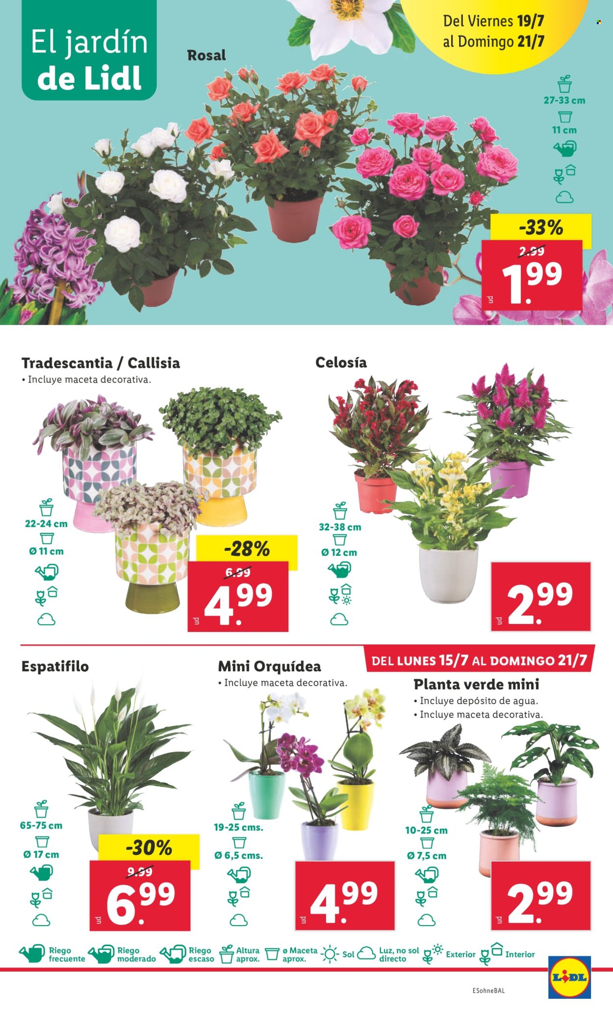 Folleto Lidl - 15/07/24 - 21/07/24. Página 21