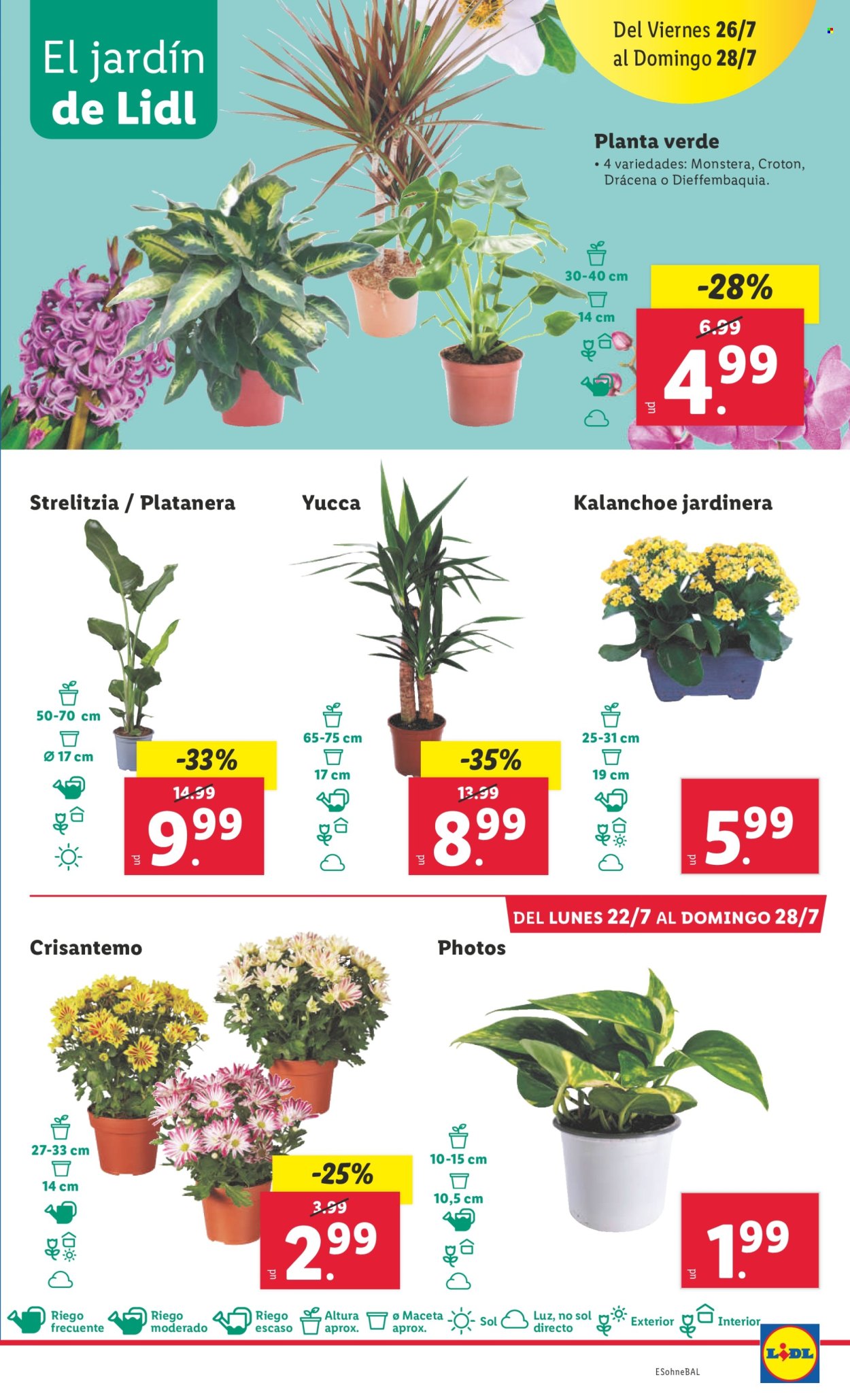 Folleto Lidl - 22/07/24 - 28/07/24. Página 21