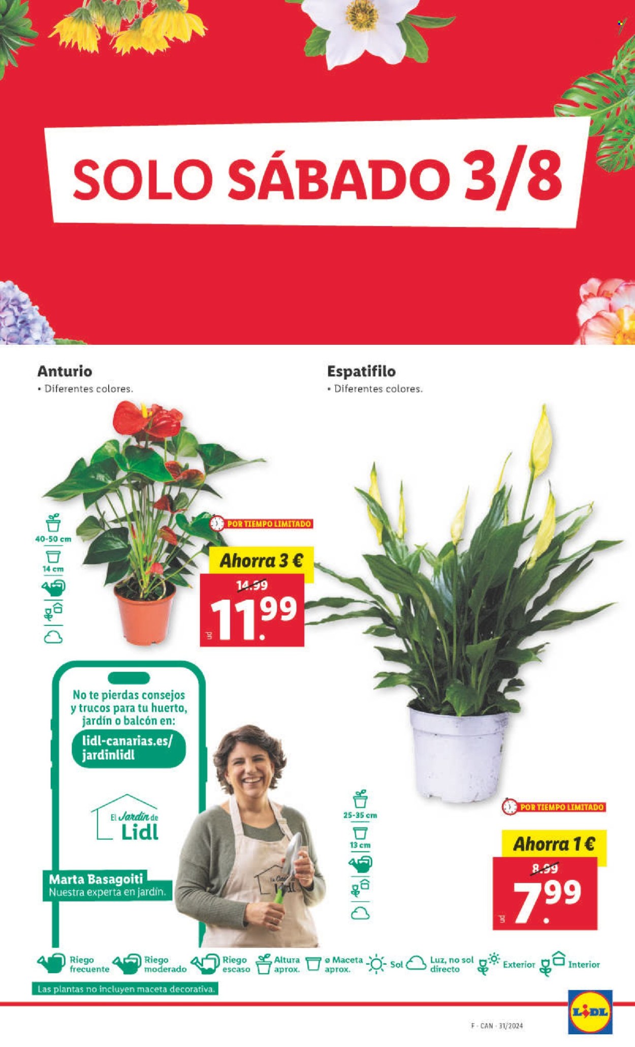 Folleto Lidl - 29/07/24 - 04/08/24. Página 29