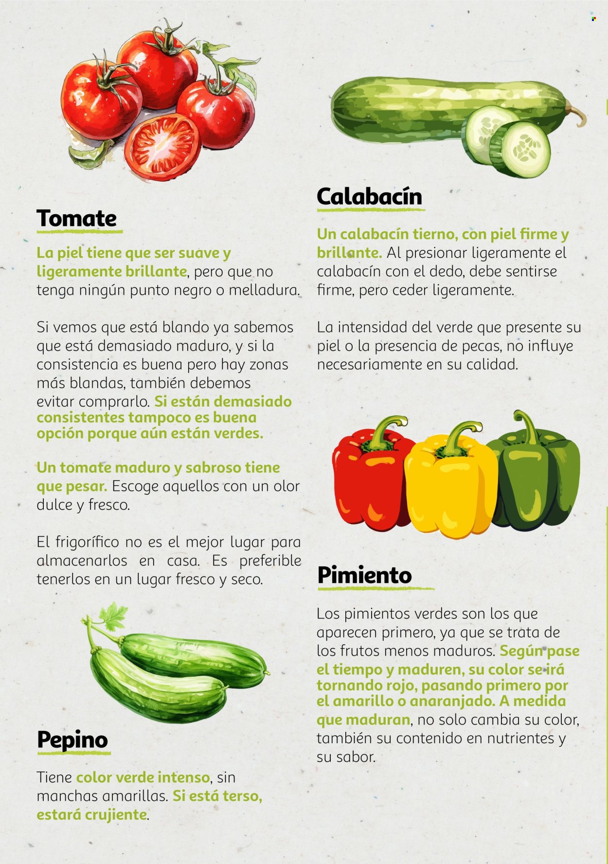 Folleto Alcampo - 06/08/24 - 31/12/25. Página 10