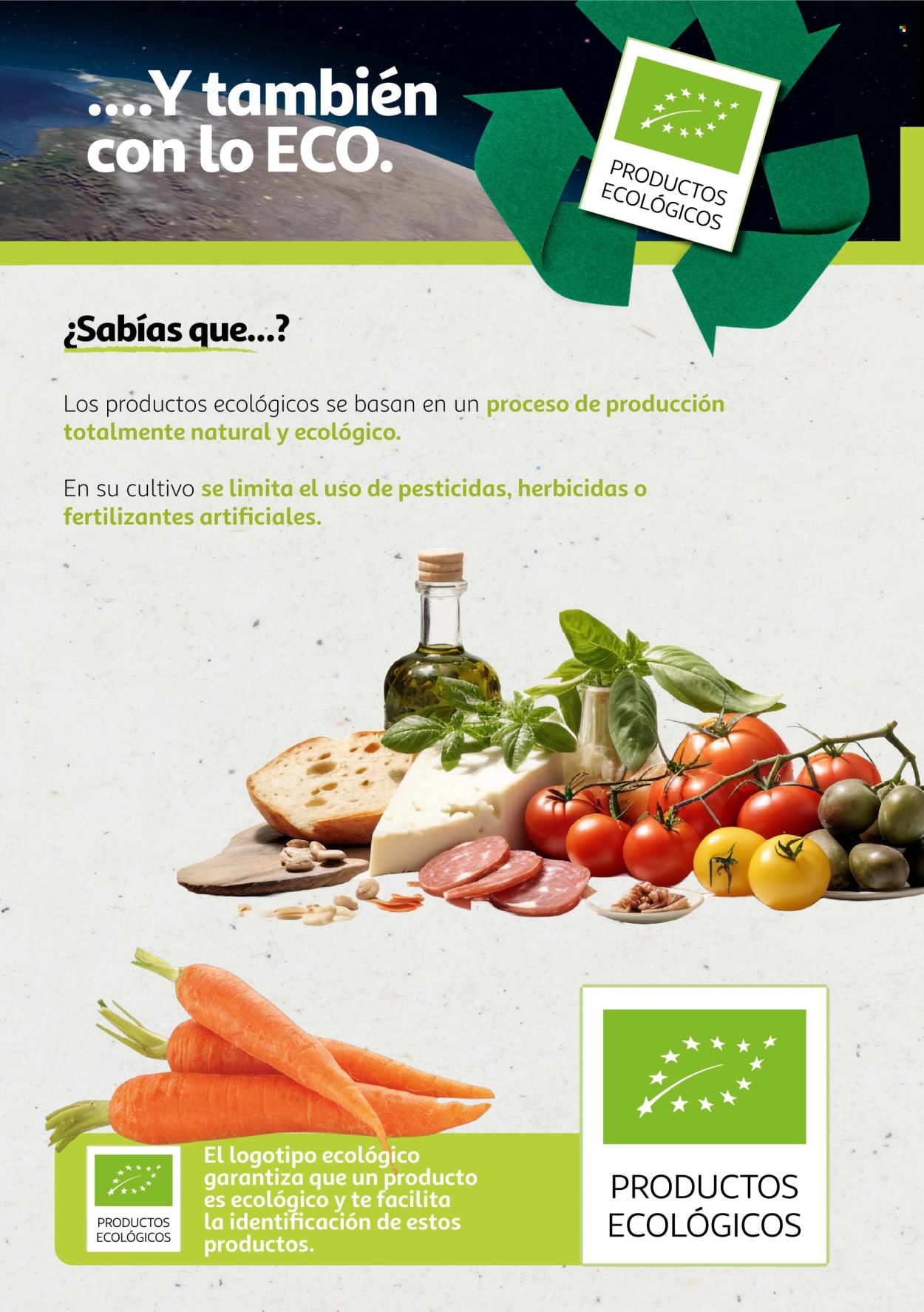 Folleto Alcampo - 06/08/24 - 31/12/25. Página 15