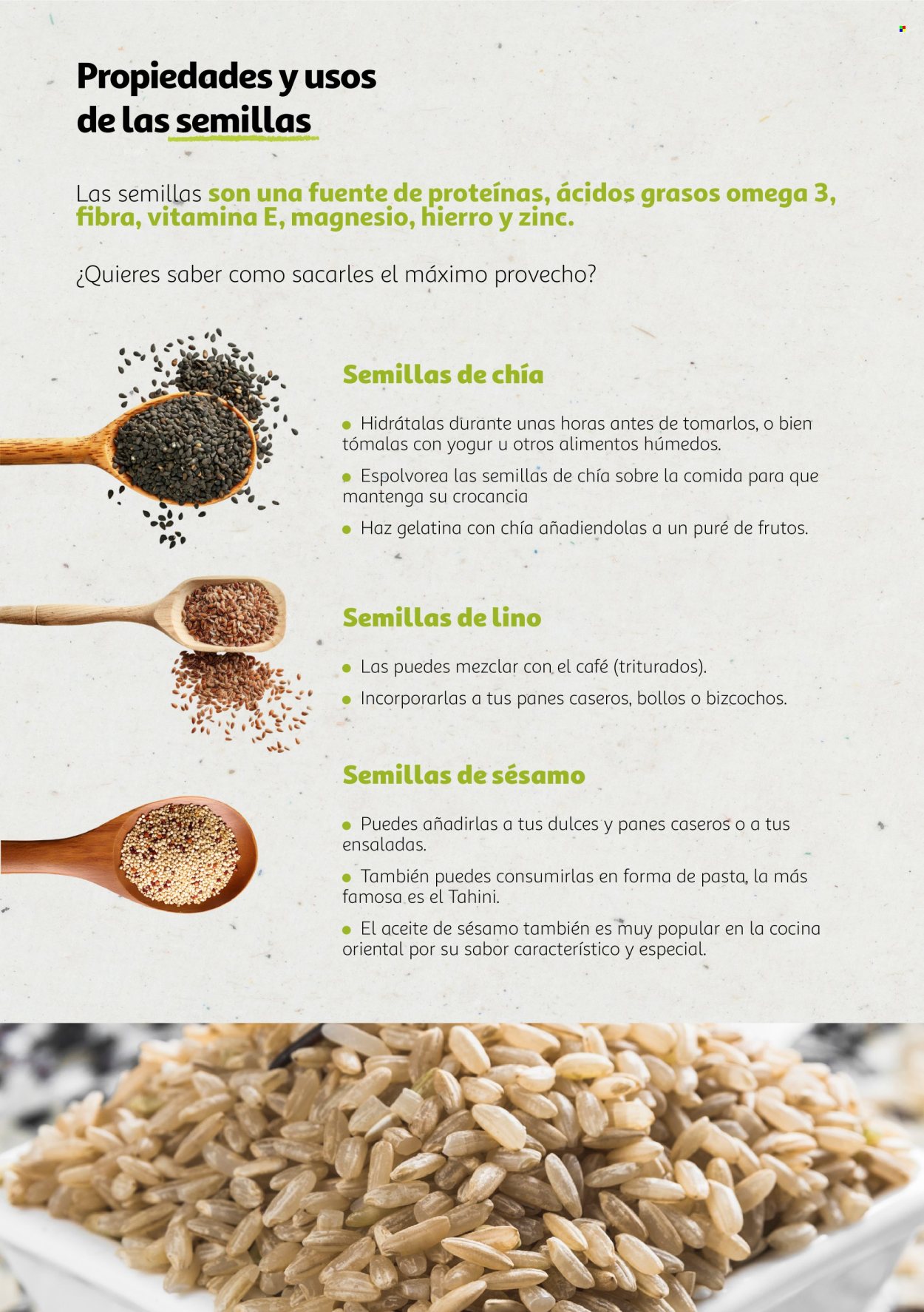 Folleto Alcampo - 06/08/24 - 31/12/25. Página 21