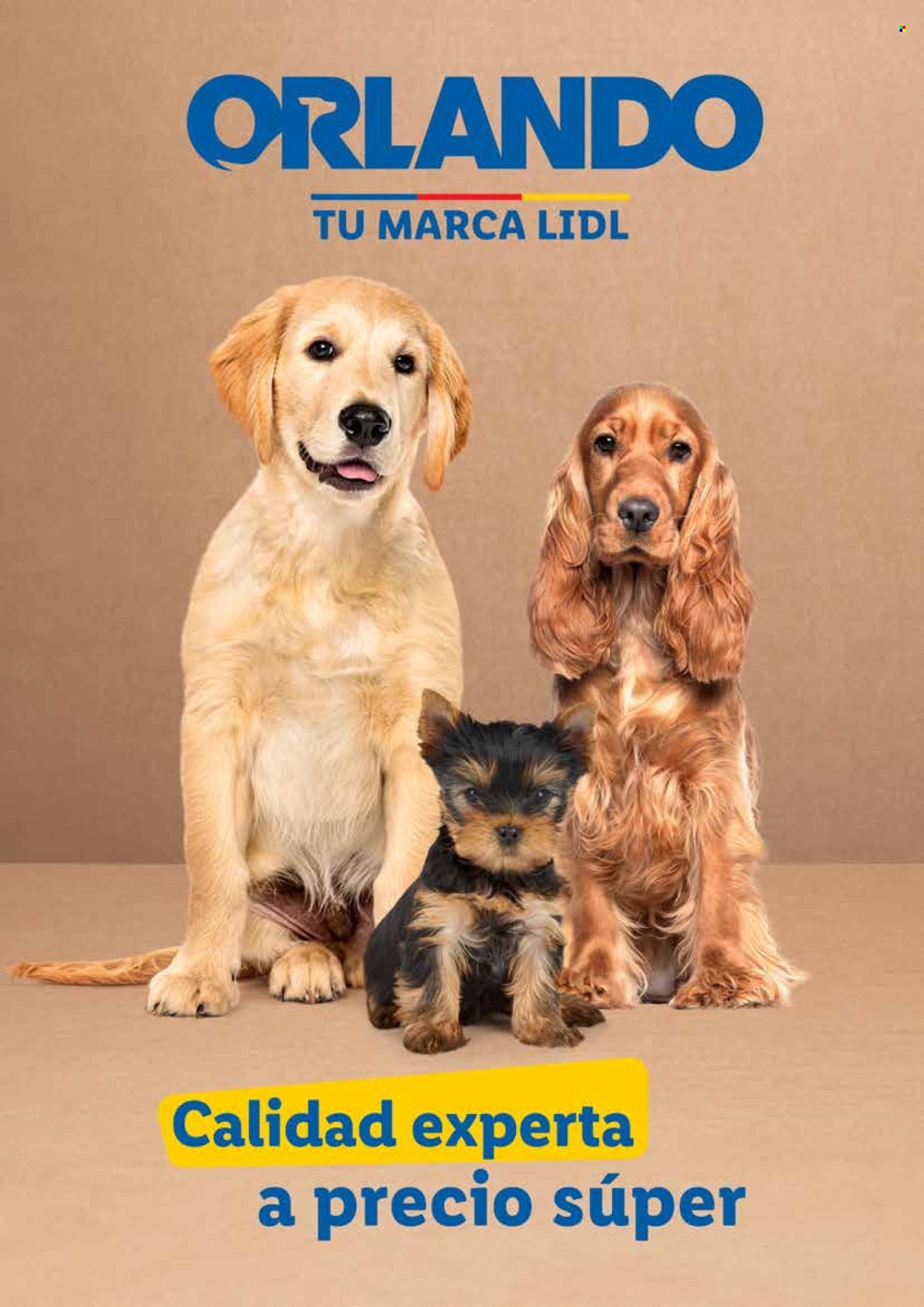 Folleto Lidl - 23/08/24 - 30/09/24. Página 4