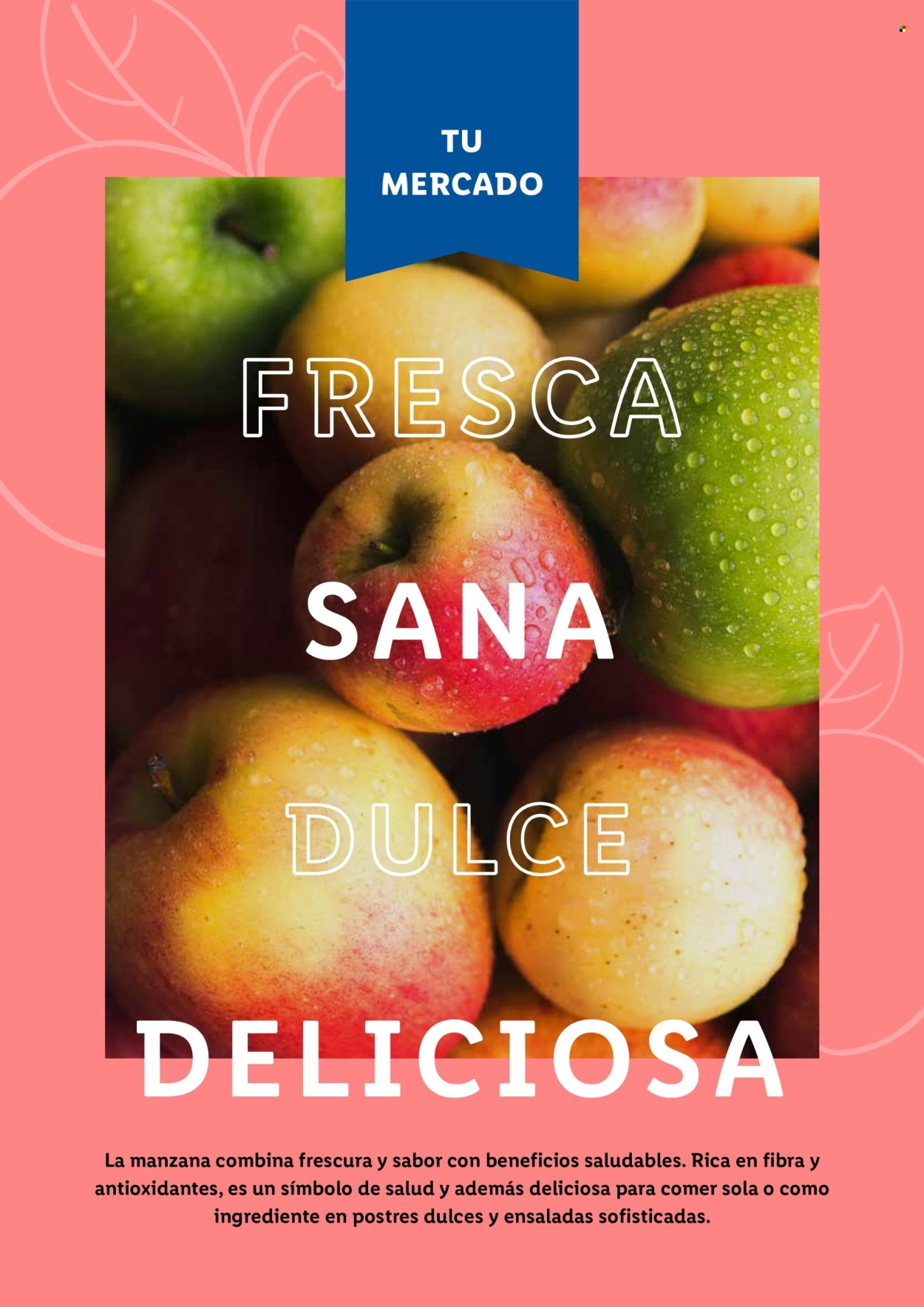 Folleto Lidl - 23/08/24 - 30/09/24. Página 14