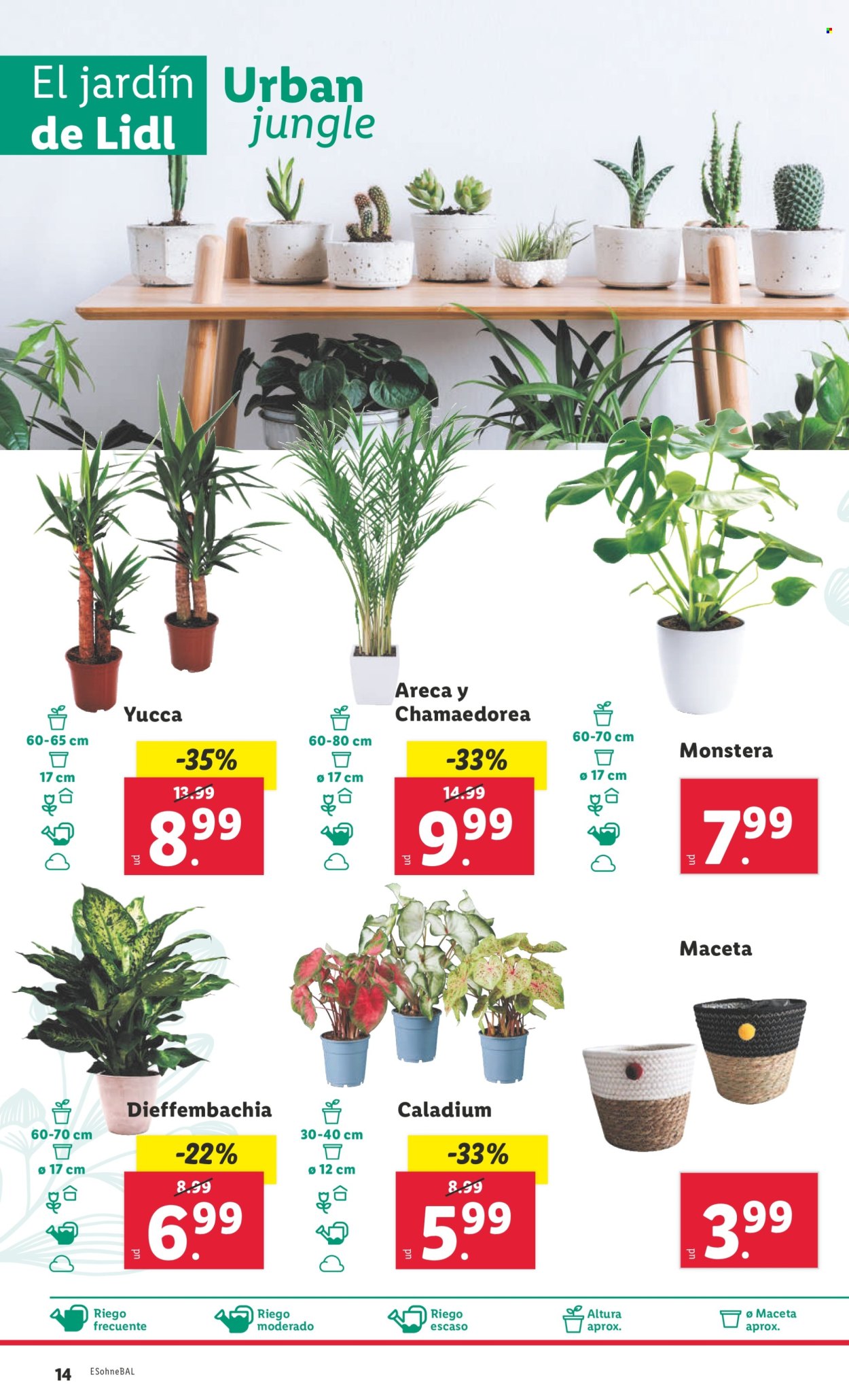 Folleto Lidl - 26/08/24 - 01/09/24. Página 16