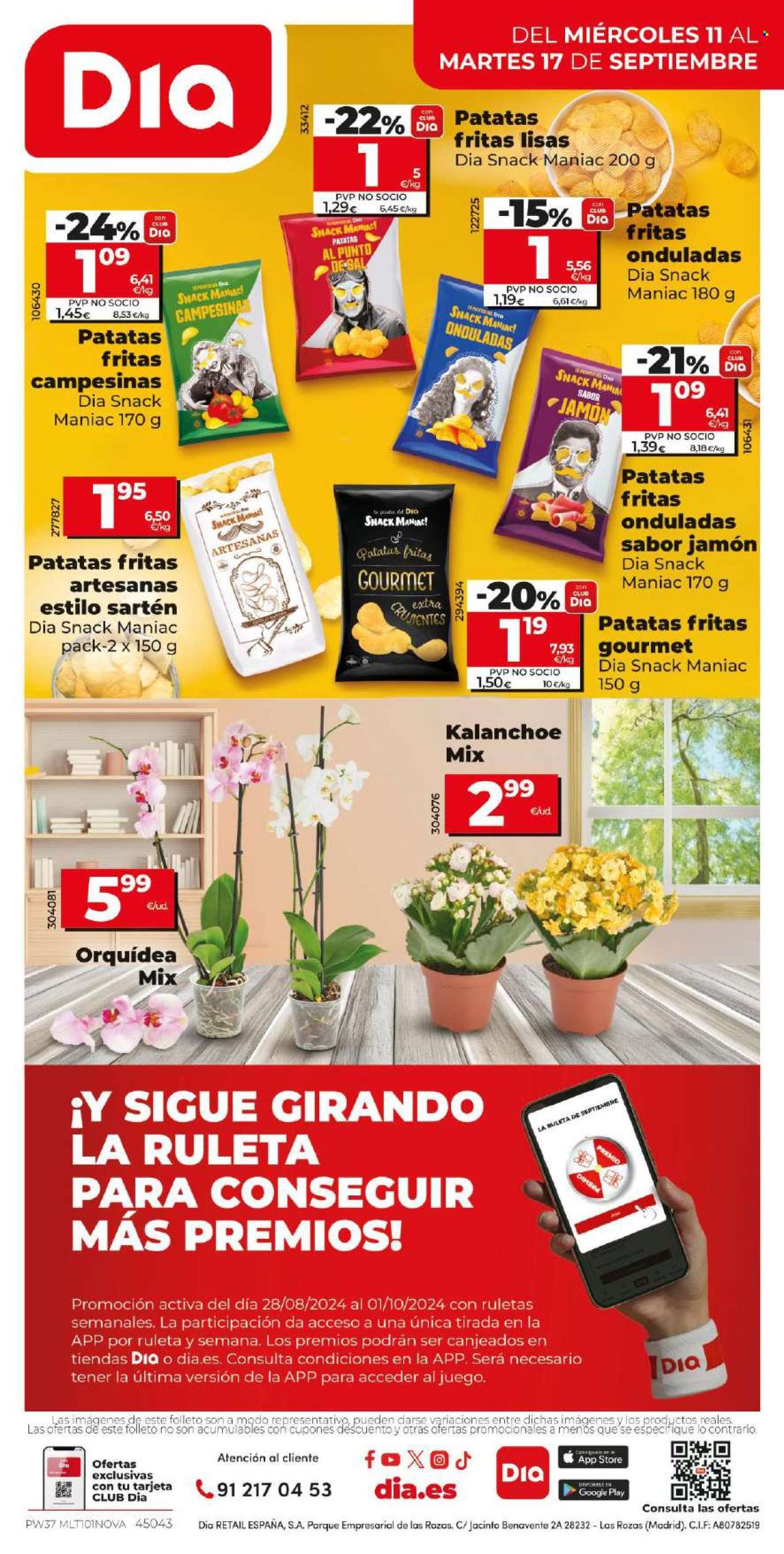 Folleto Dia - 11/09/24 - 17/09/24. Página 16