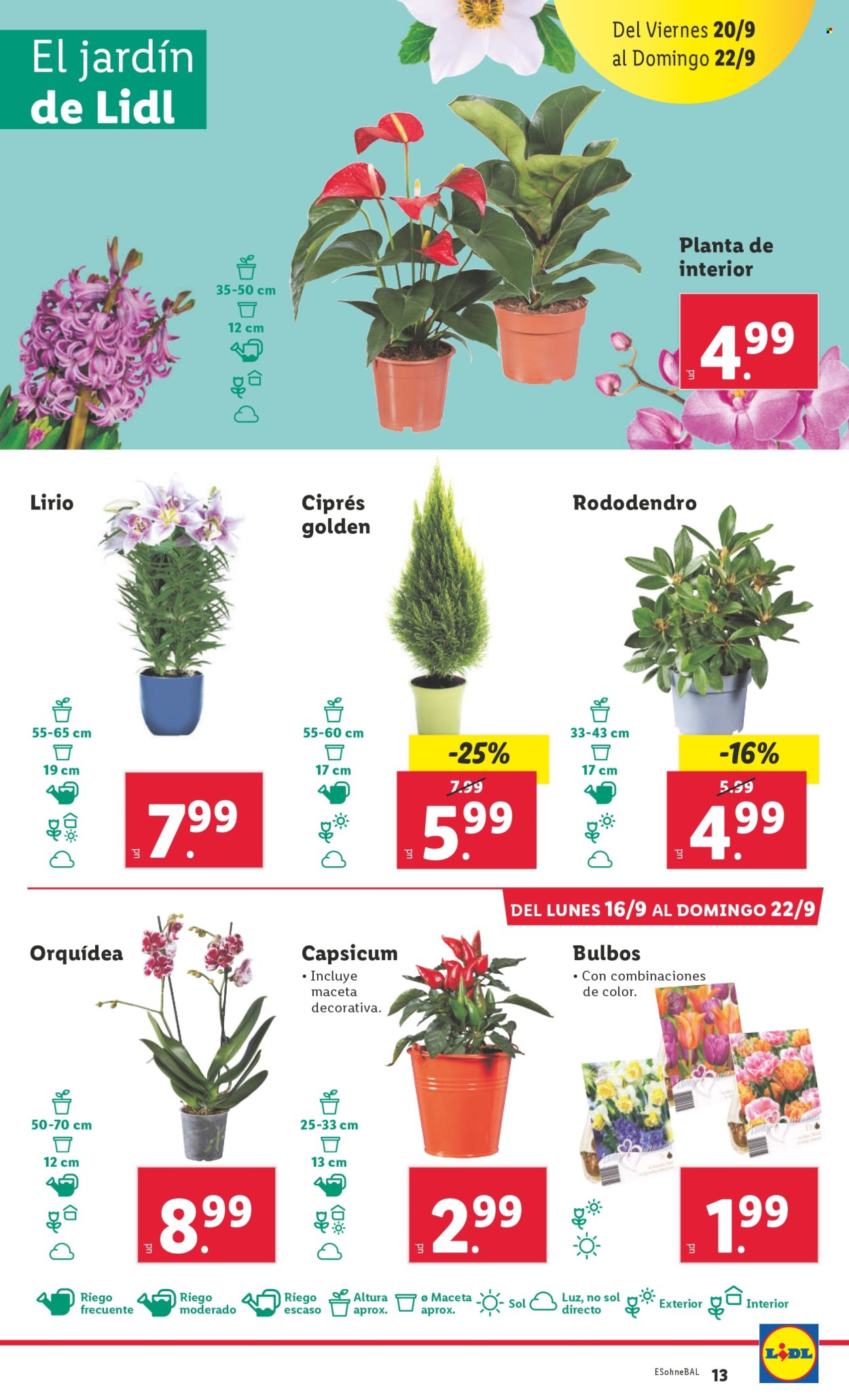 Folleto Lidl - 16/09/24 - 22/09/24. Página 15
