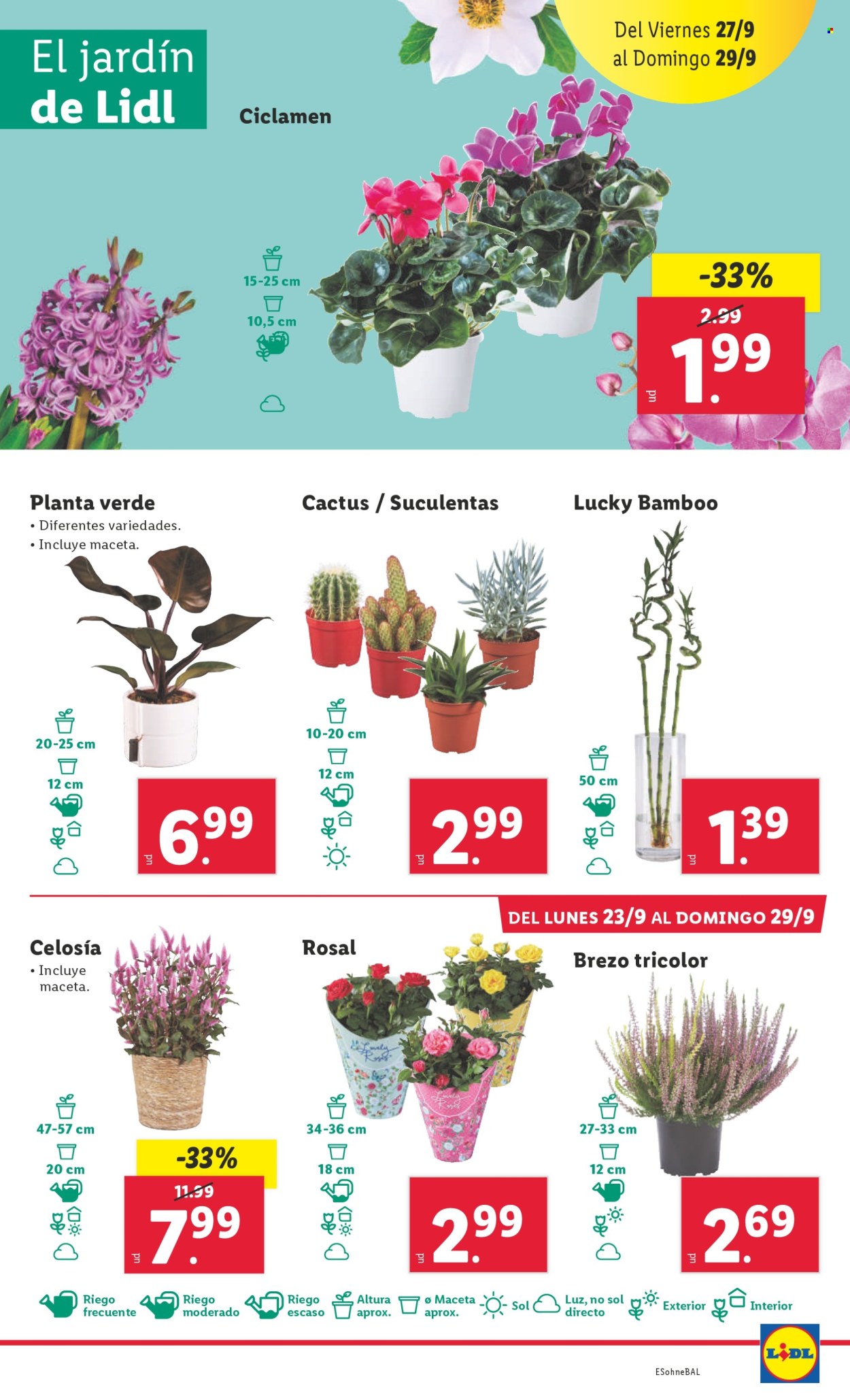 Folleto Lidl - 23/09/24 - 29/09/24. Página 21