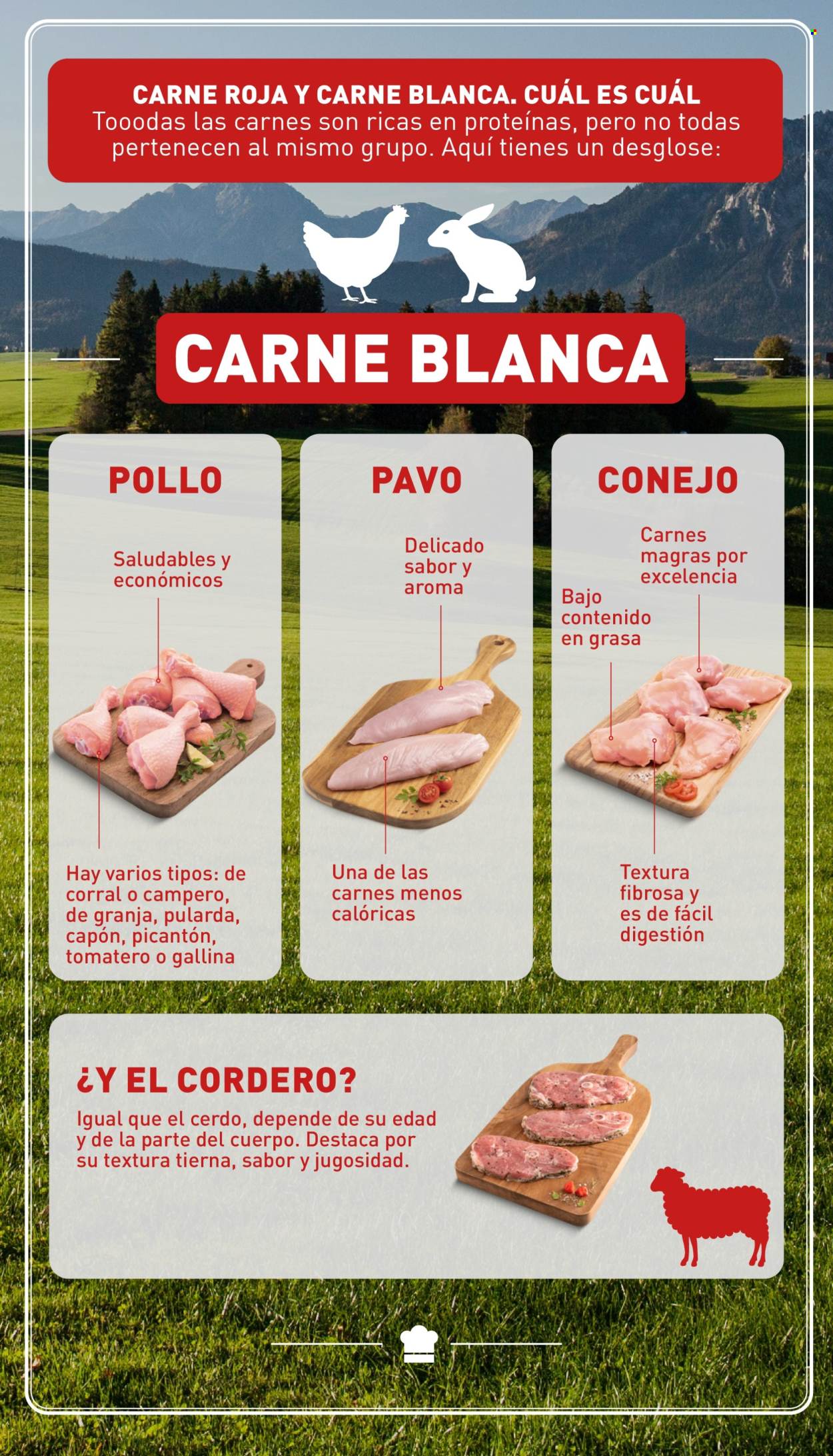 Folleto Aldi - 02/10/24 - 08/10/24. Página 8