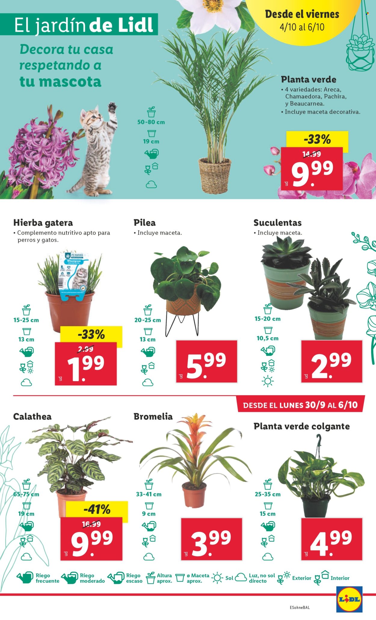 Folleto Lidl - 30/09/24 - 06/10/24. Página 41
