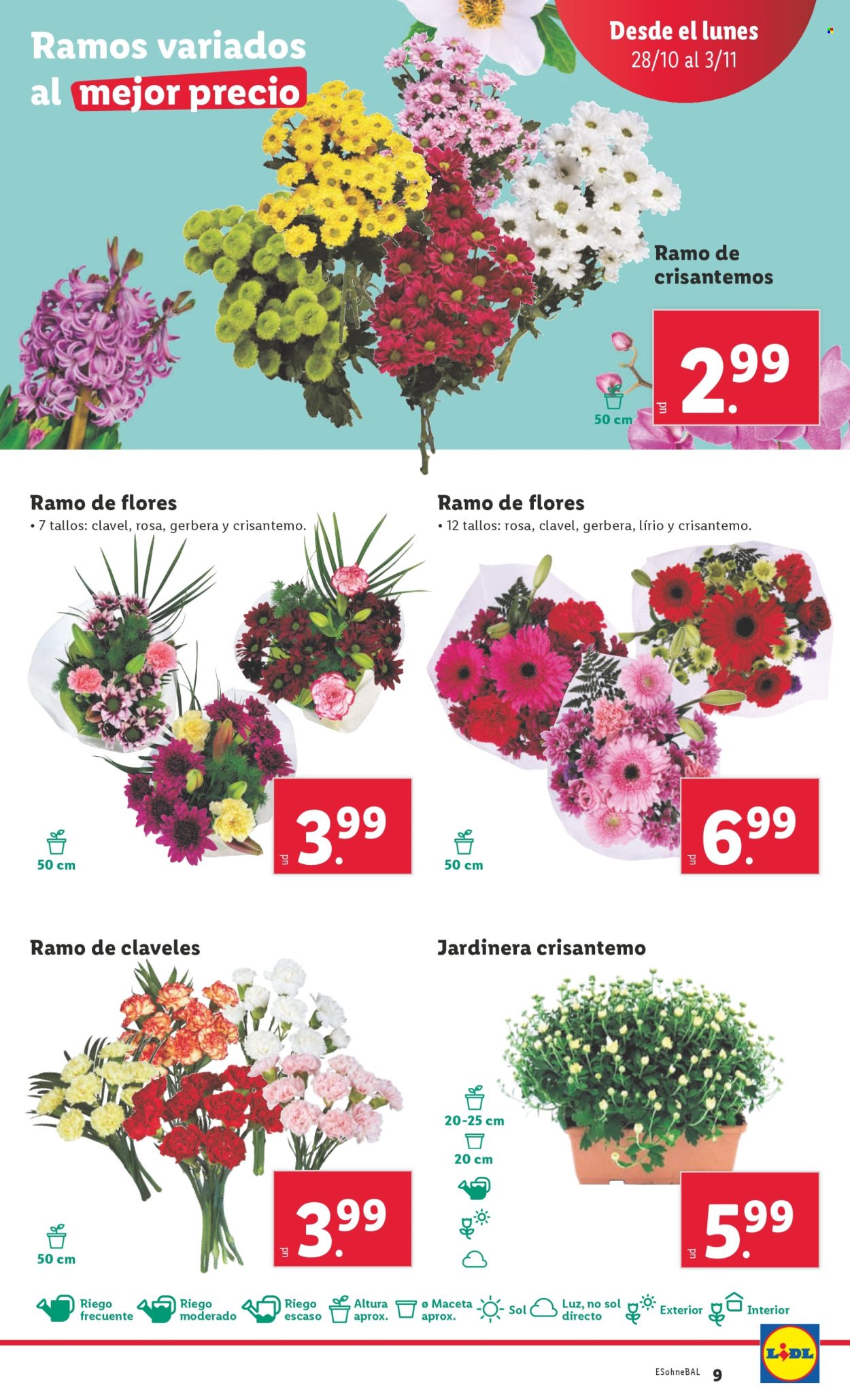 Folleto Lidl - 28/10/24 - 03/11/24. Página 11