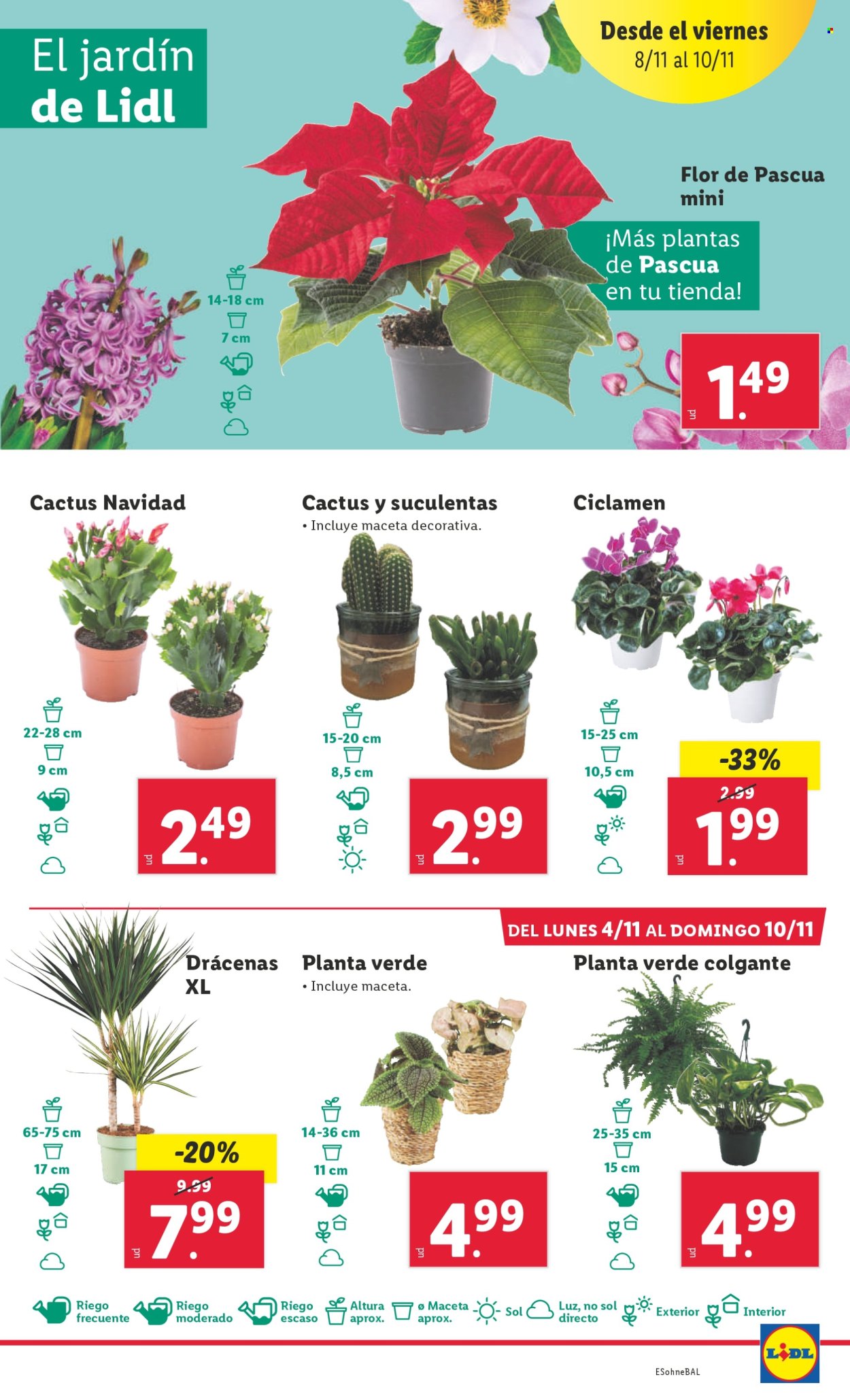 Folleto Lidl - 04/11/24 - 10/11/24. Página 25