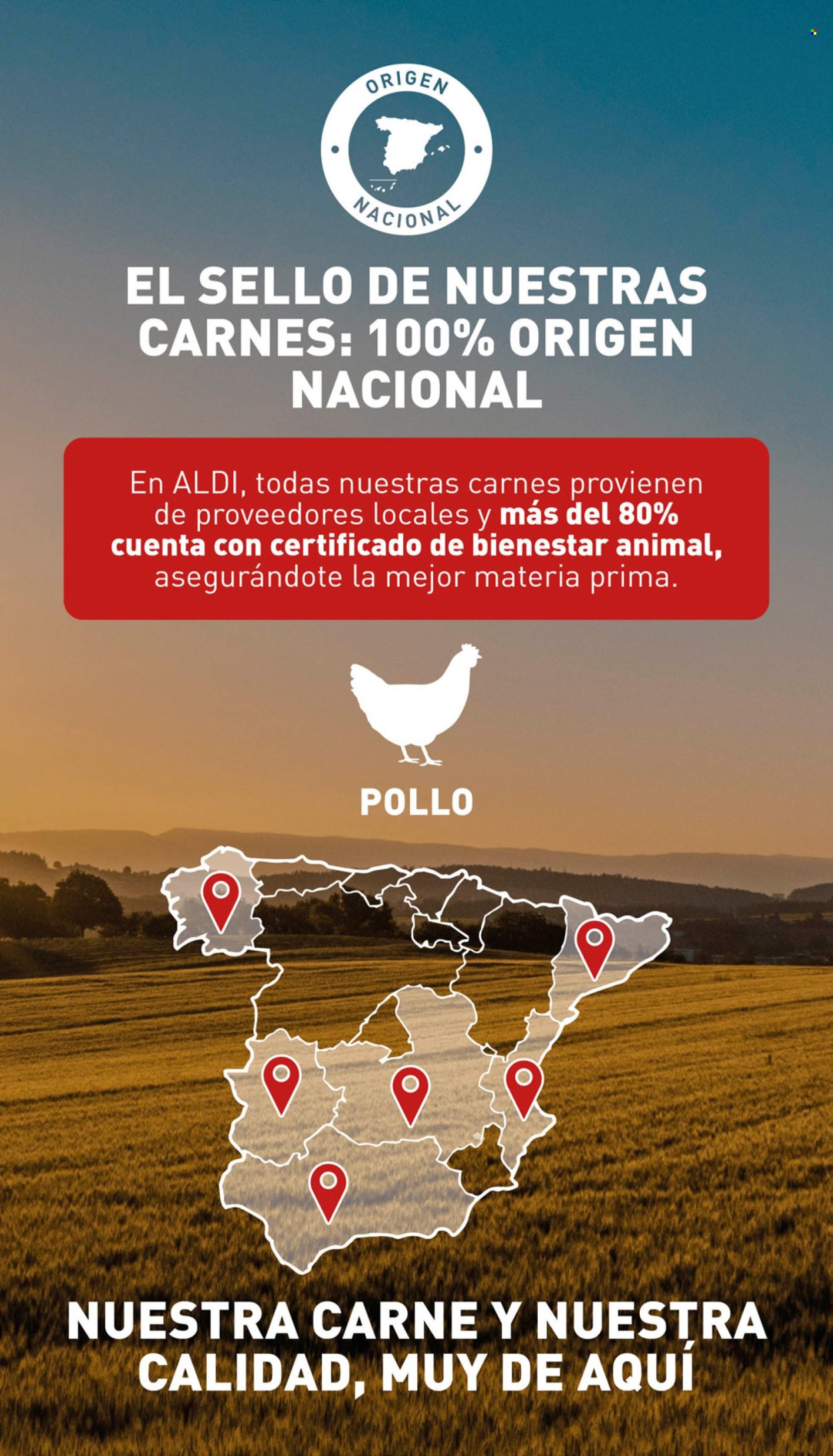 Folleto Aldi - 06/11/24 - 12/11/24. Página 8