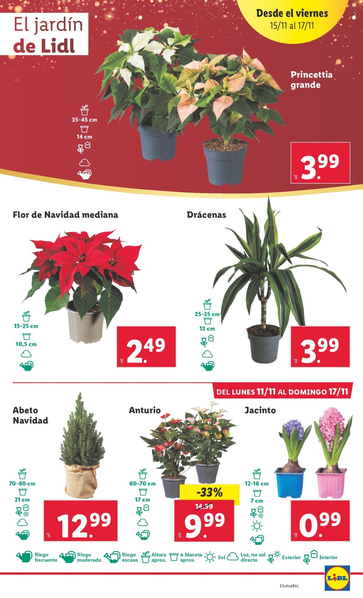 Folleto Lidl - 11/11/24 - 17/11/24. Página 21