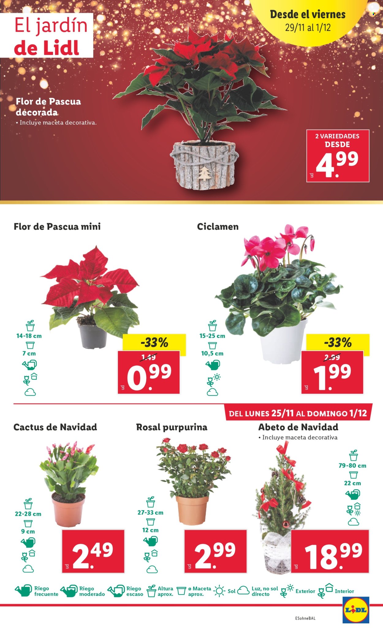 Folleto Lidl - 25/11/24 - 01/12/24. Página 23