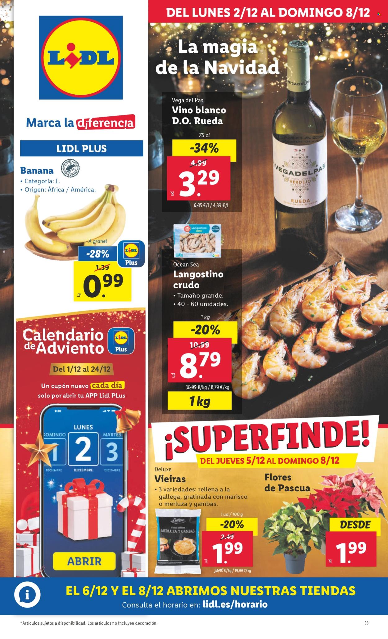 Folleto Lidl - 02/12/24 - 08/12/24. Página 1