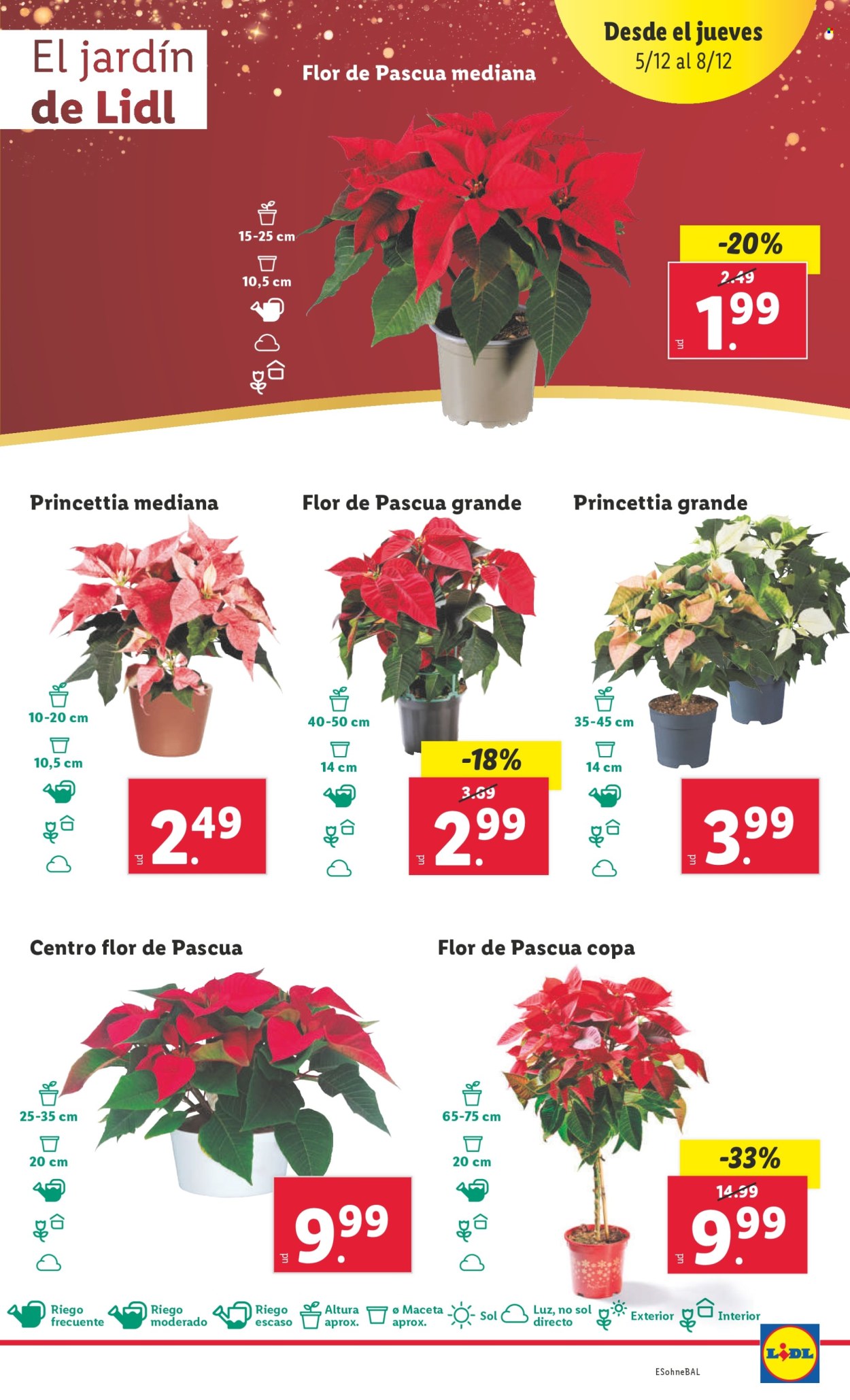 Folleto Lidl - 02/12/24 - 08/12/24. Página 25