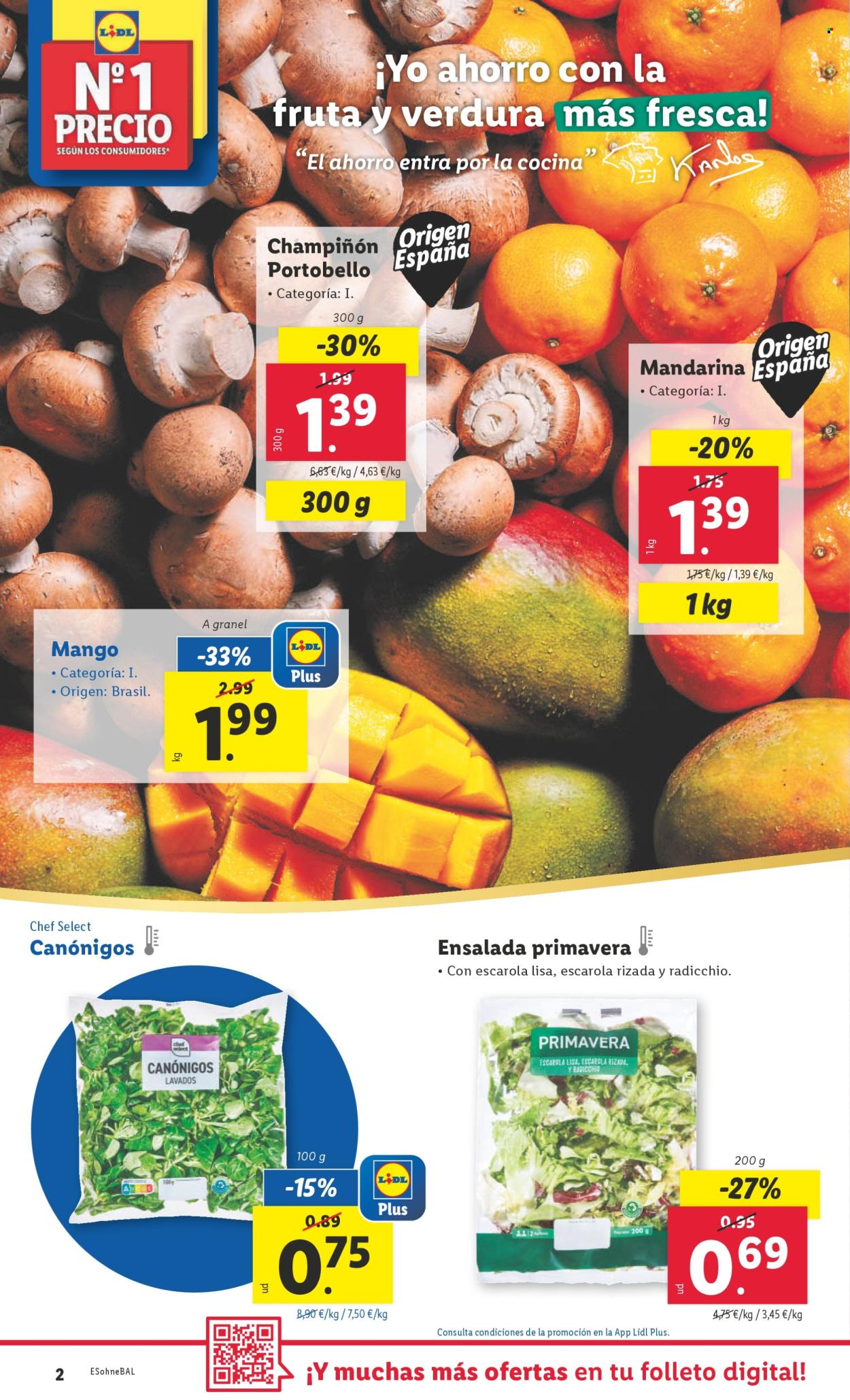 Folleto Lidl - 09/12/24 - 15/12/24. Página 4