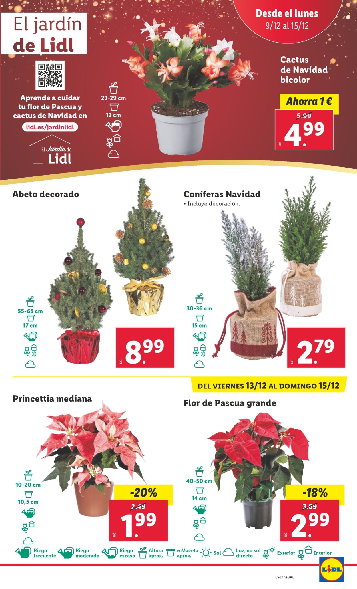 Folleto Lidl - 09/12/24 - 15/12/24. Página 17