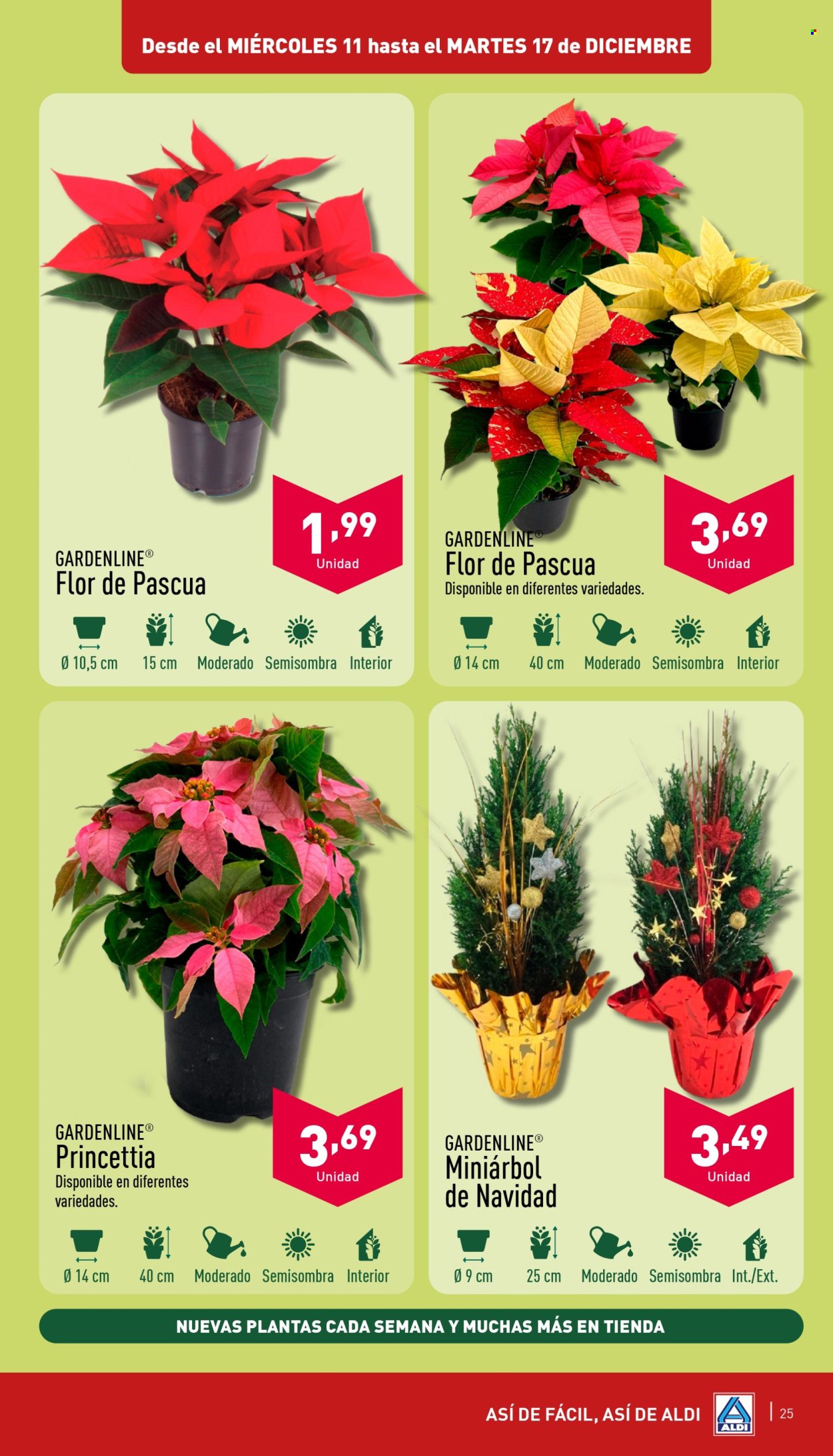 Folleto Aldi - 11/12/24 - 17/12/24. Página 25