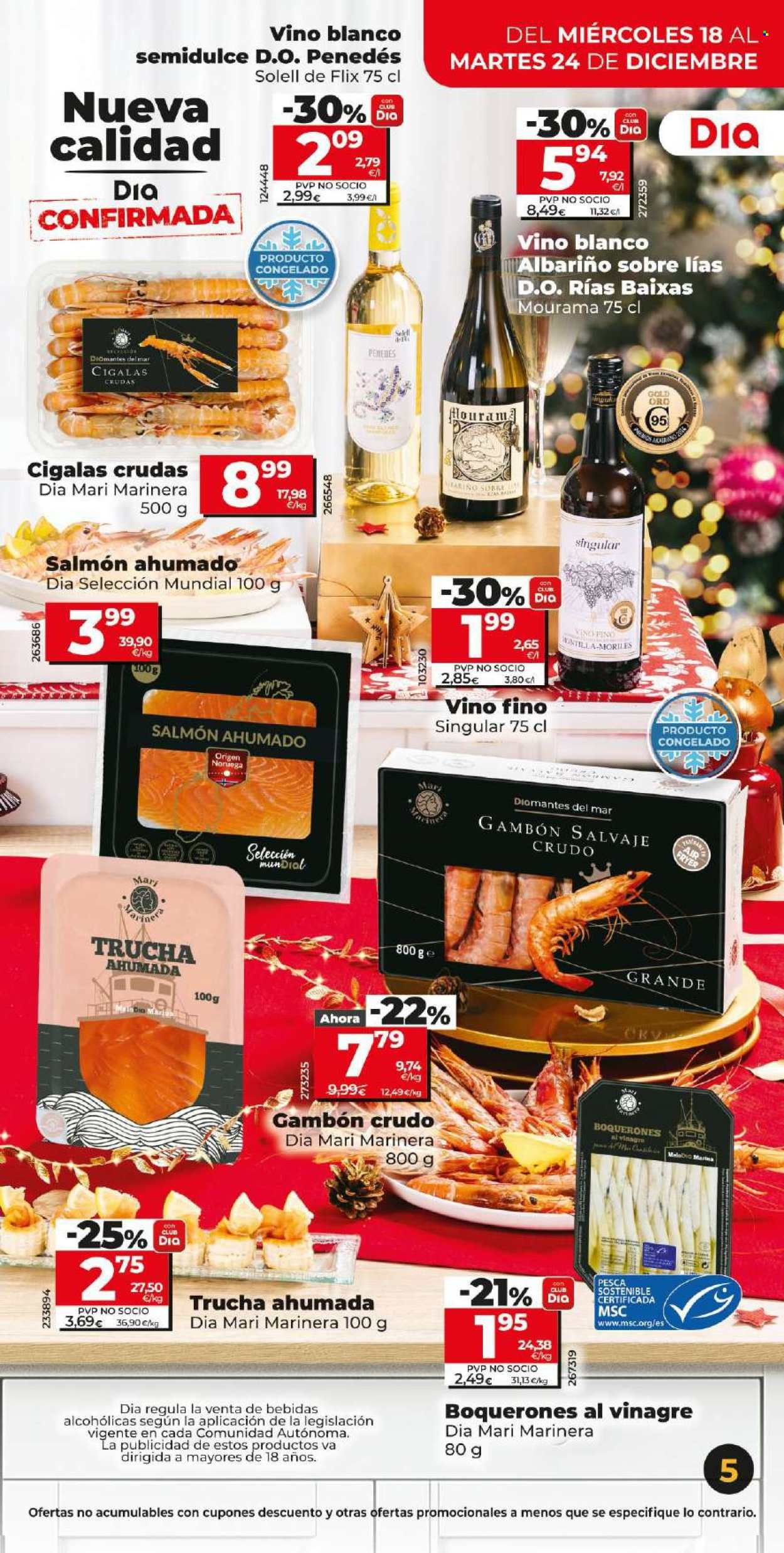 Folleto Dia - 18/12/24 - 24/12/24. Página 5