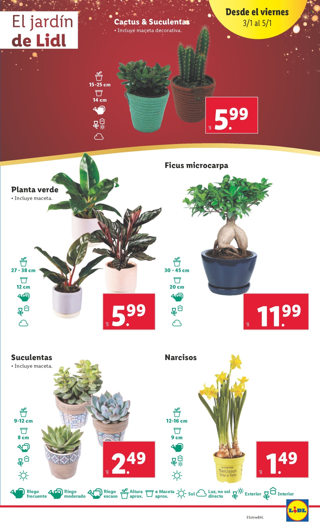 Folleto Lidl - 30/12/24 - 05/01/25. Página 37
