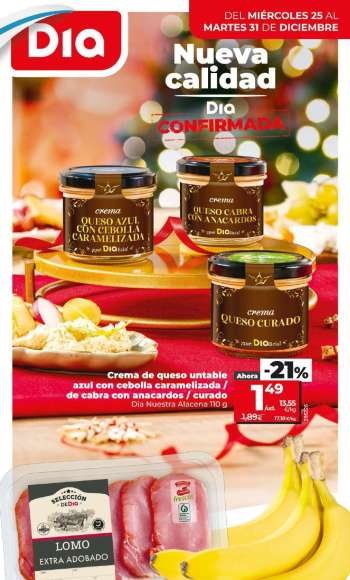 Folleto actual Dia - 25/12/24 - 31/12/24.