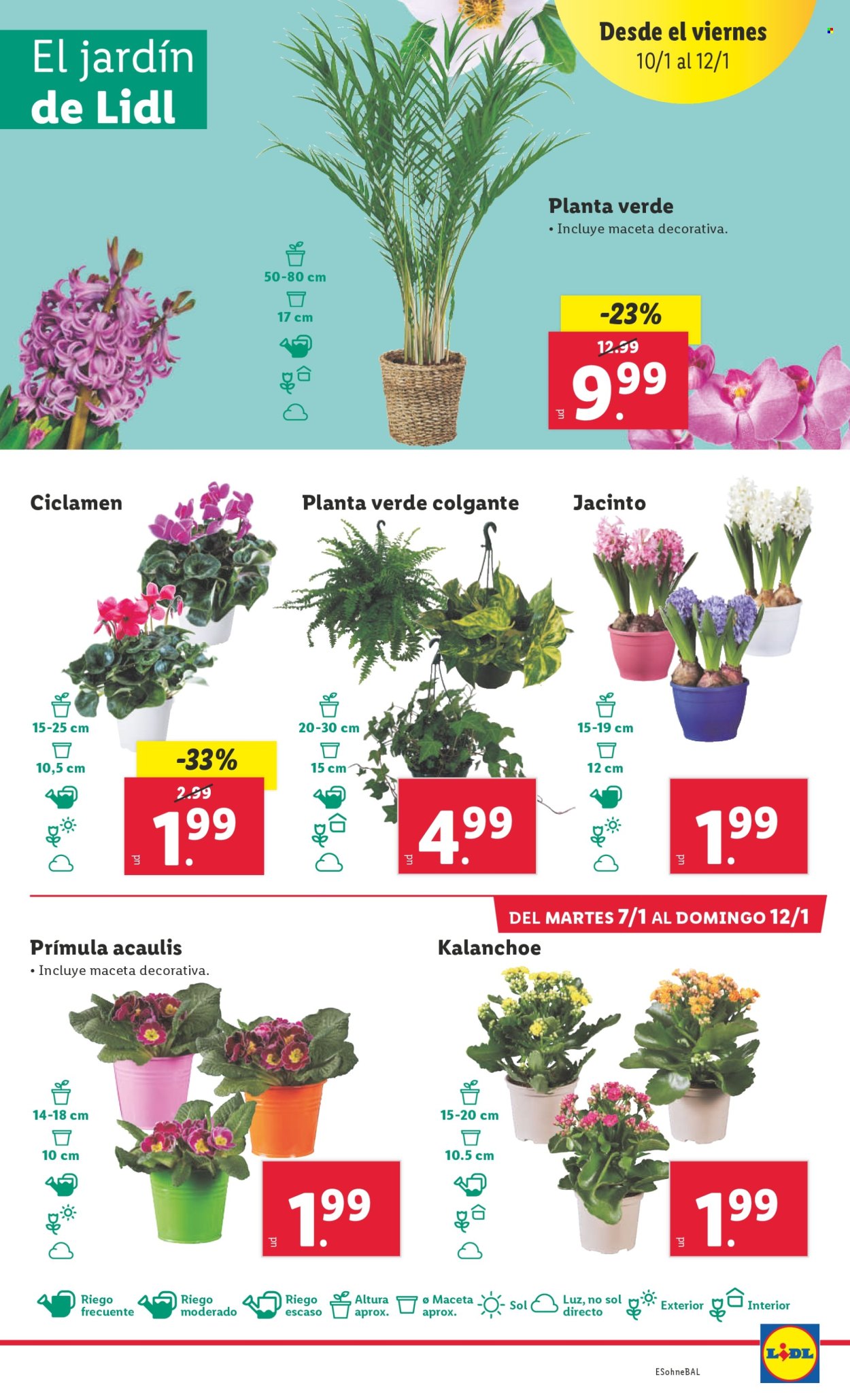 Folleto Lidl - 07/01/25 - 12/01/25. Página 23
