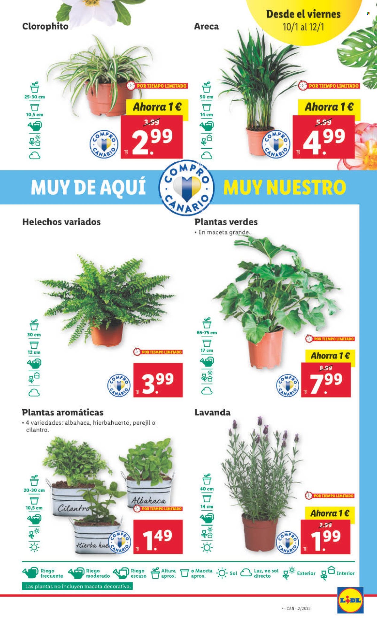 Folleto Lidl - 07/01/25 - 12/01/25. Página 27