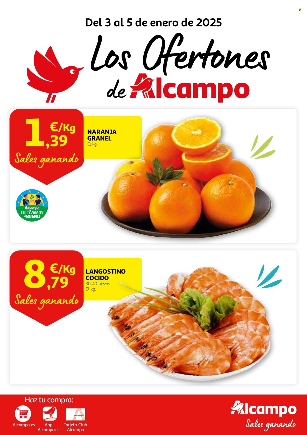 Folleto Alcampo - 03/01/25 - 05/01/25. Página 1