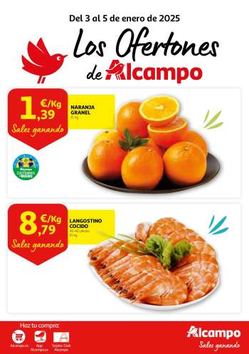 Folleto actual Alcampo - 03/01/25 - 05/01/25.
