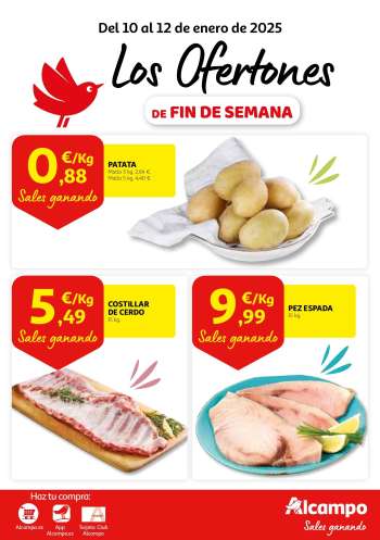 Folleto actual Alcampo - 10/01/25 - 12/01/25.