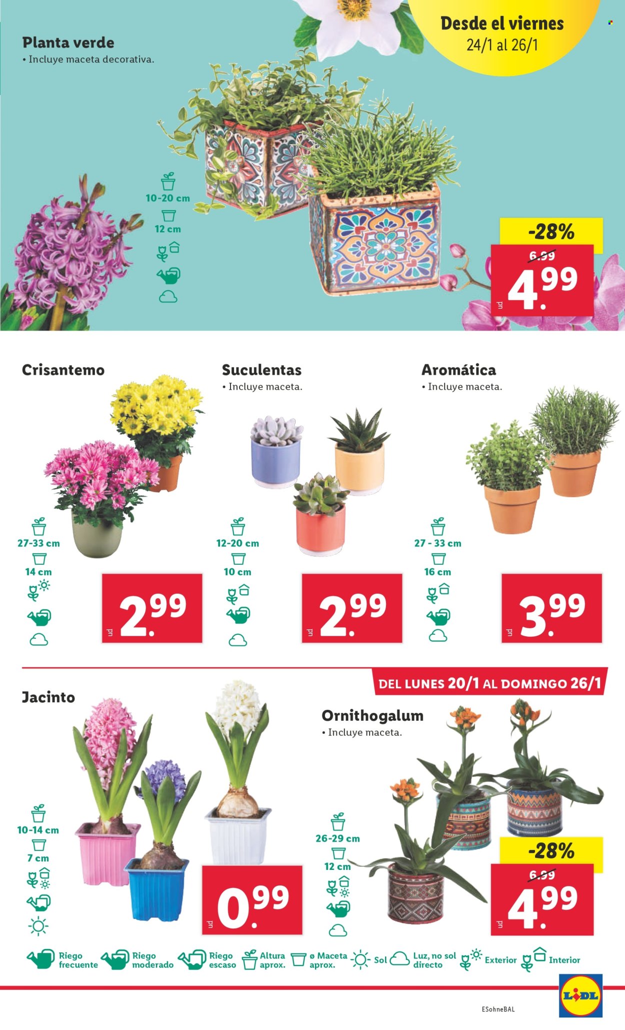 Folleto Lidl - 20/01/25 - 26/01/25. Página 25