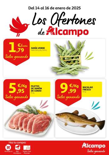 Folleto actual Alcampo - 14/01/25 - 16/01/25.