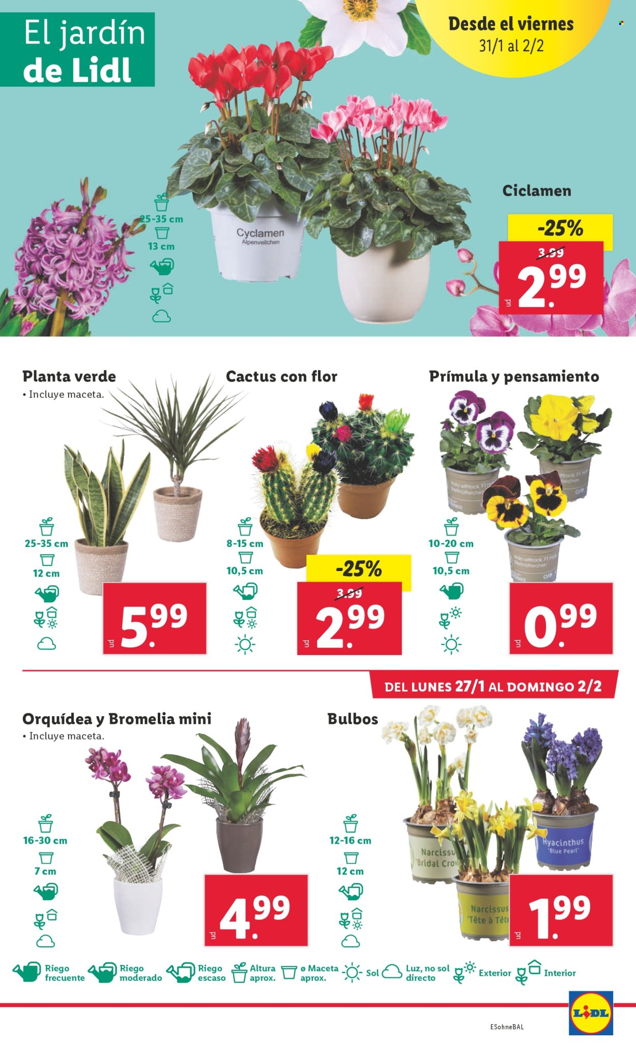 Folleto Lidl - 27/01/25 - 02/02/25. Página 43