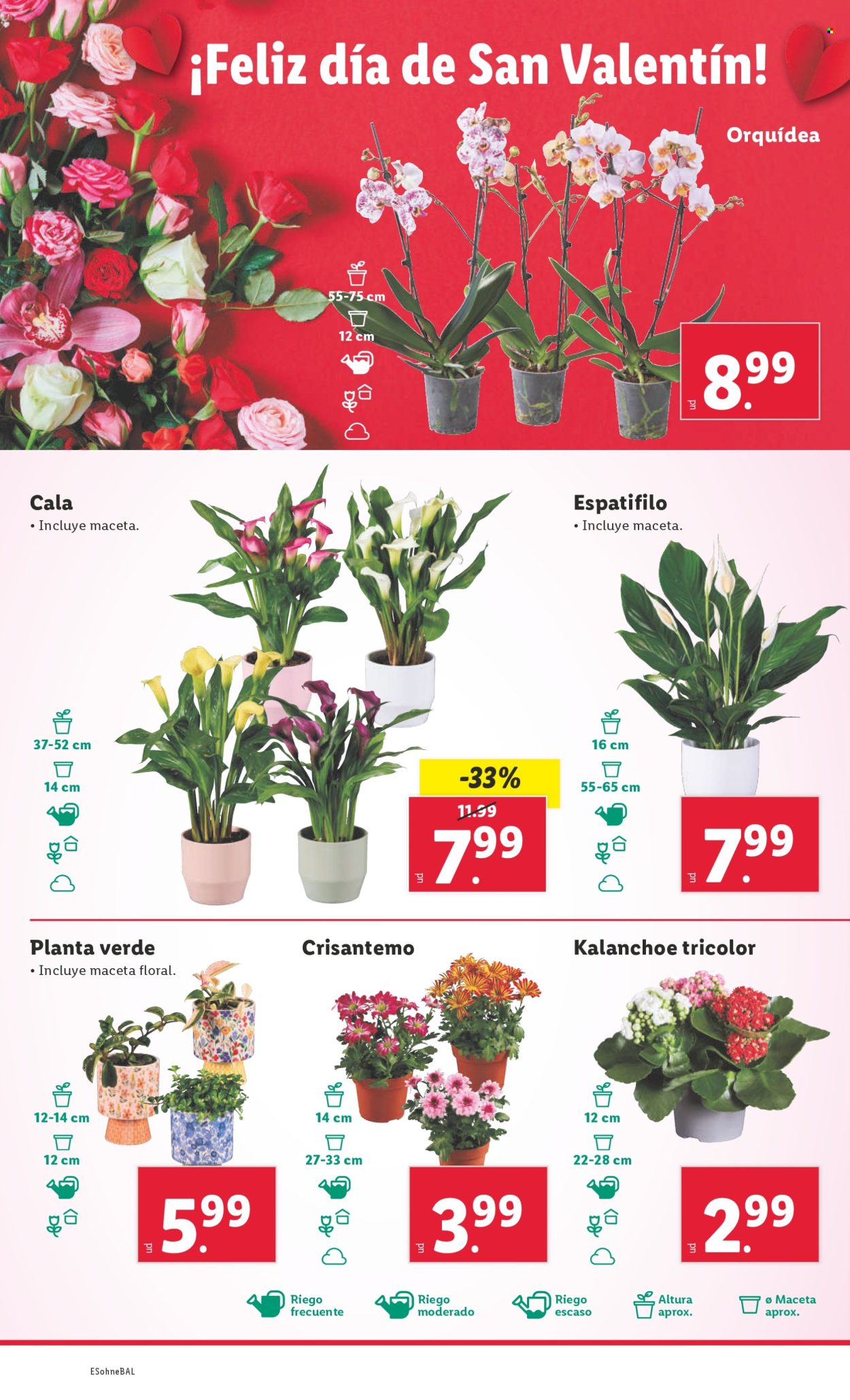 Folleto Lidl - 03/02/25 - 09/02/25. Página 28