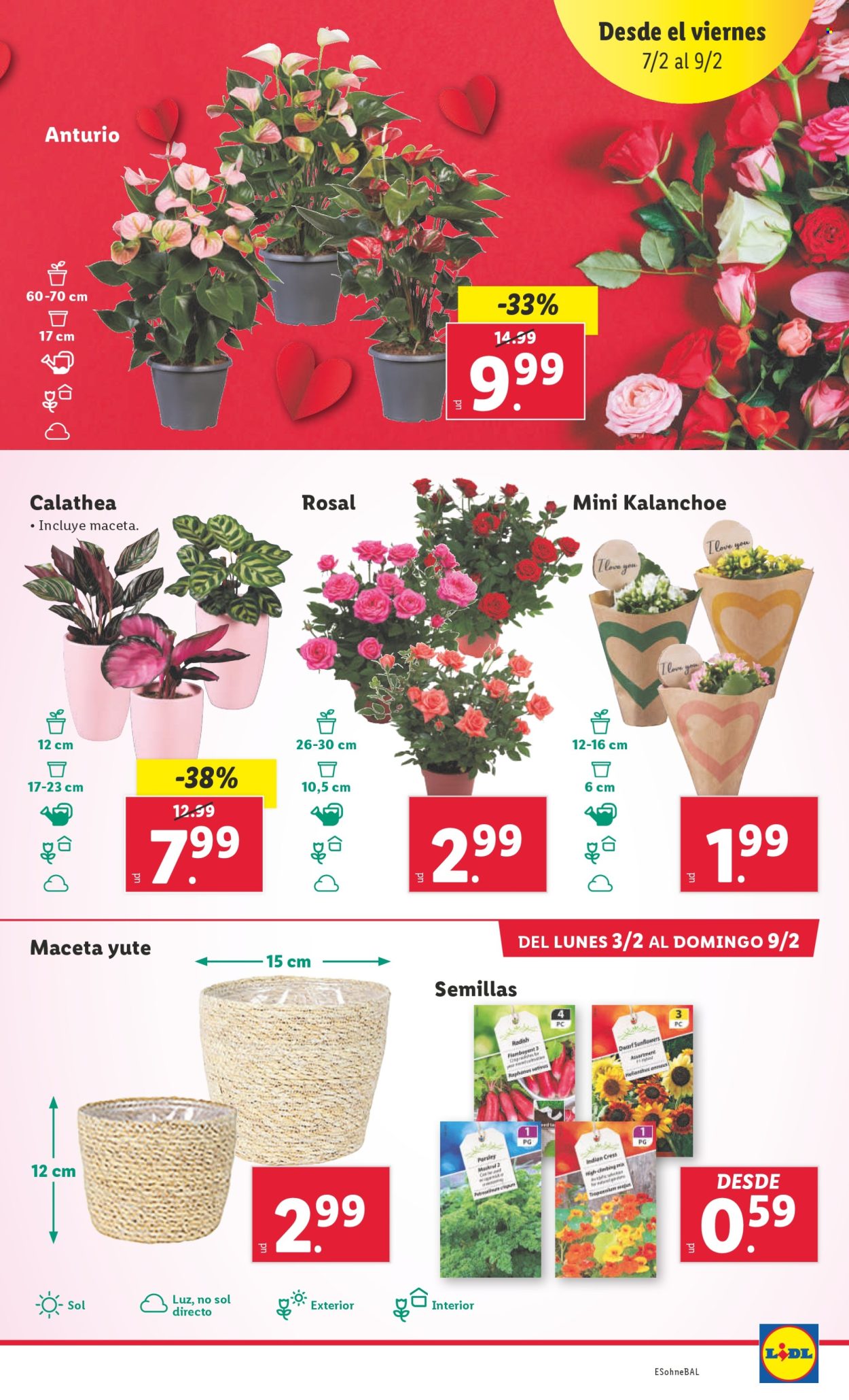 Folleto Lidl - 03/02/25 - 09/02/25. Página 29