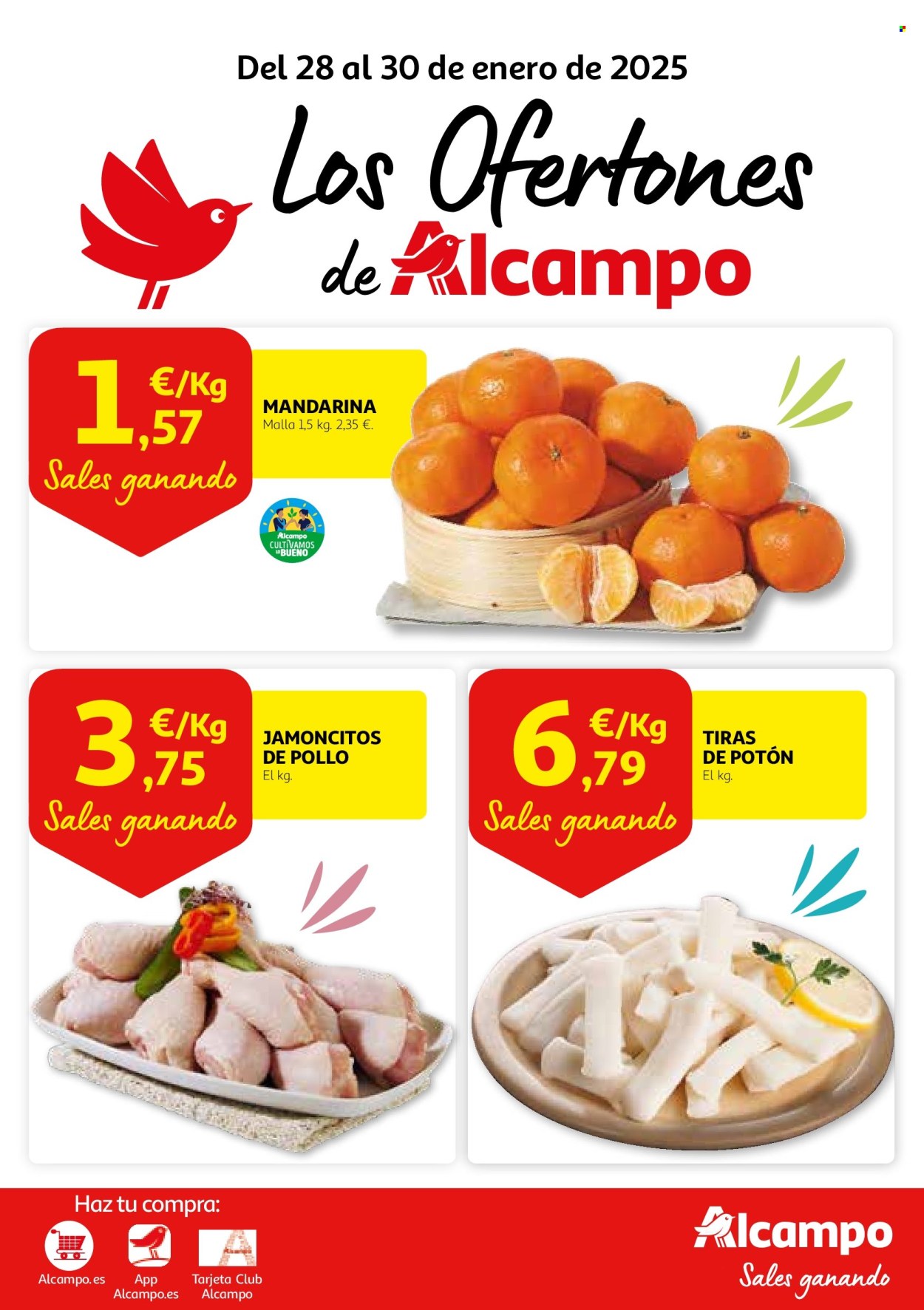 Folleto Alcampo - 28/01/25 - 30/01/25. Página 1