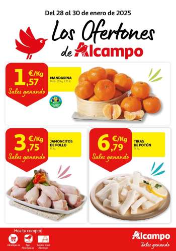 Folleto actual Alcampo - 28/01/25 - 30/01/25.