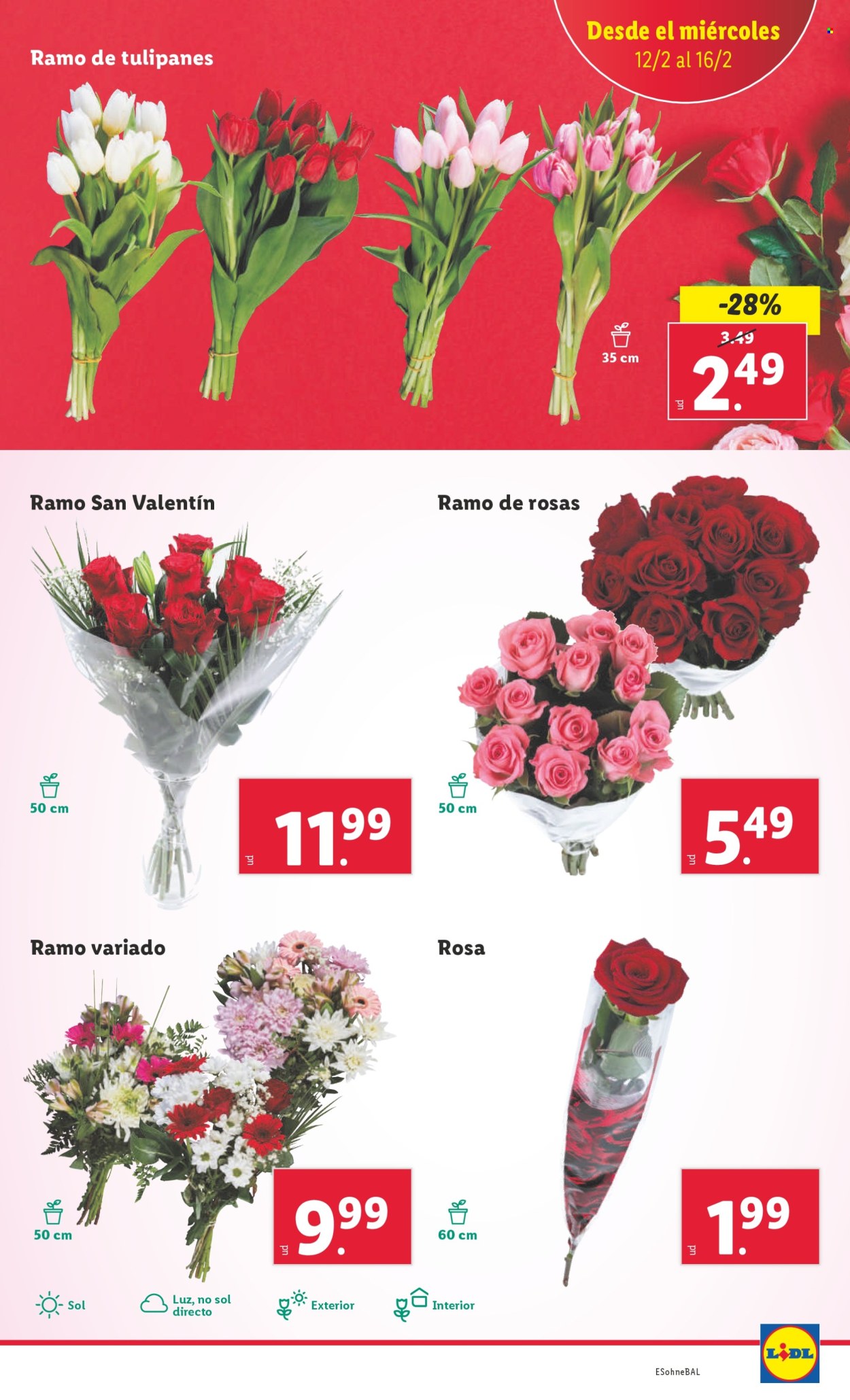 Folleto Lidl - 10/02/25 - 16/02/25. Página 17