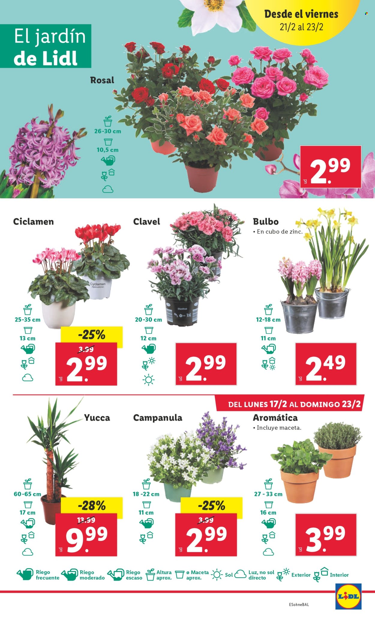 Folleto Lidl - 17/02/25 - 23/02/25. Página 13