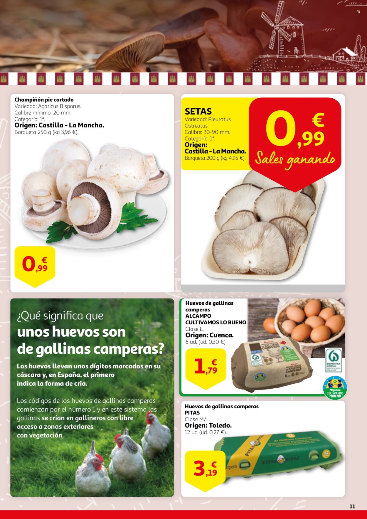 Folleto Alcampo - 27/02/25 - 12/03/25. Página 11