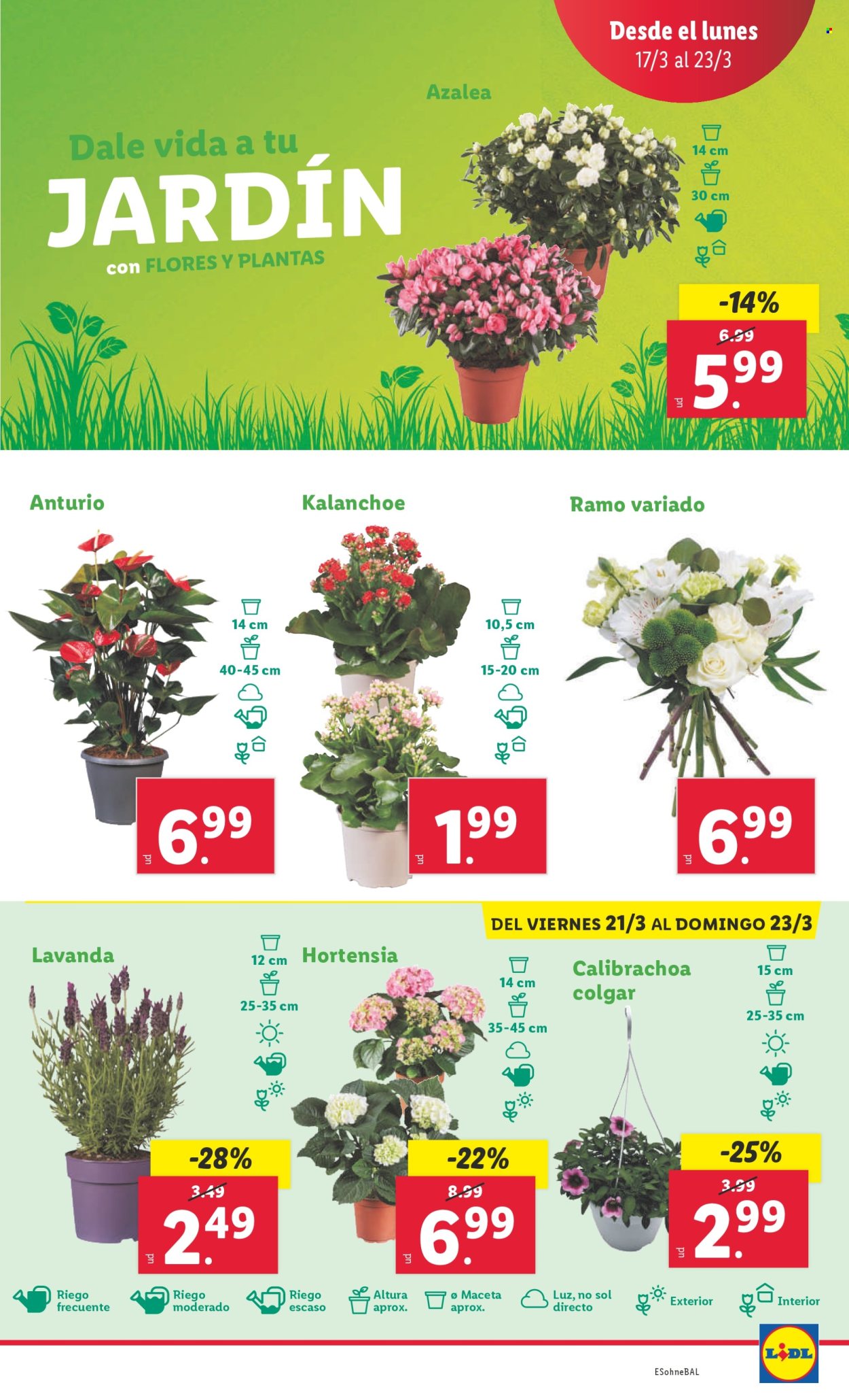 Folleto Lidl - 17/03/25 - 23/03/25. Página 44