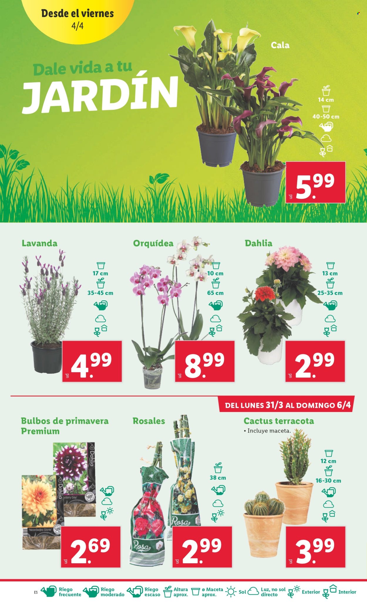 Folleto Lidl - 31/03/25 - 06/04/25. Página 16