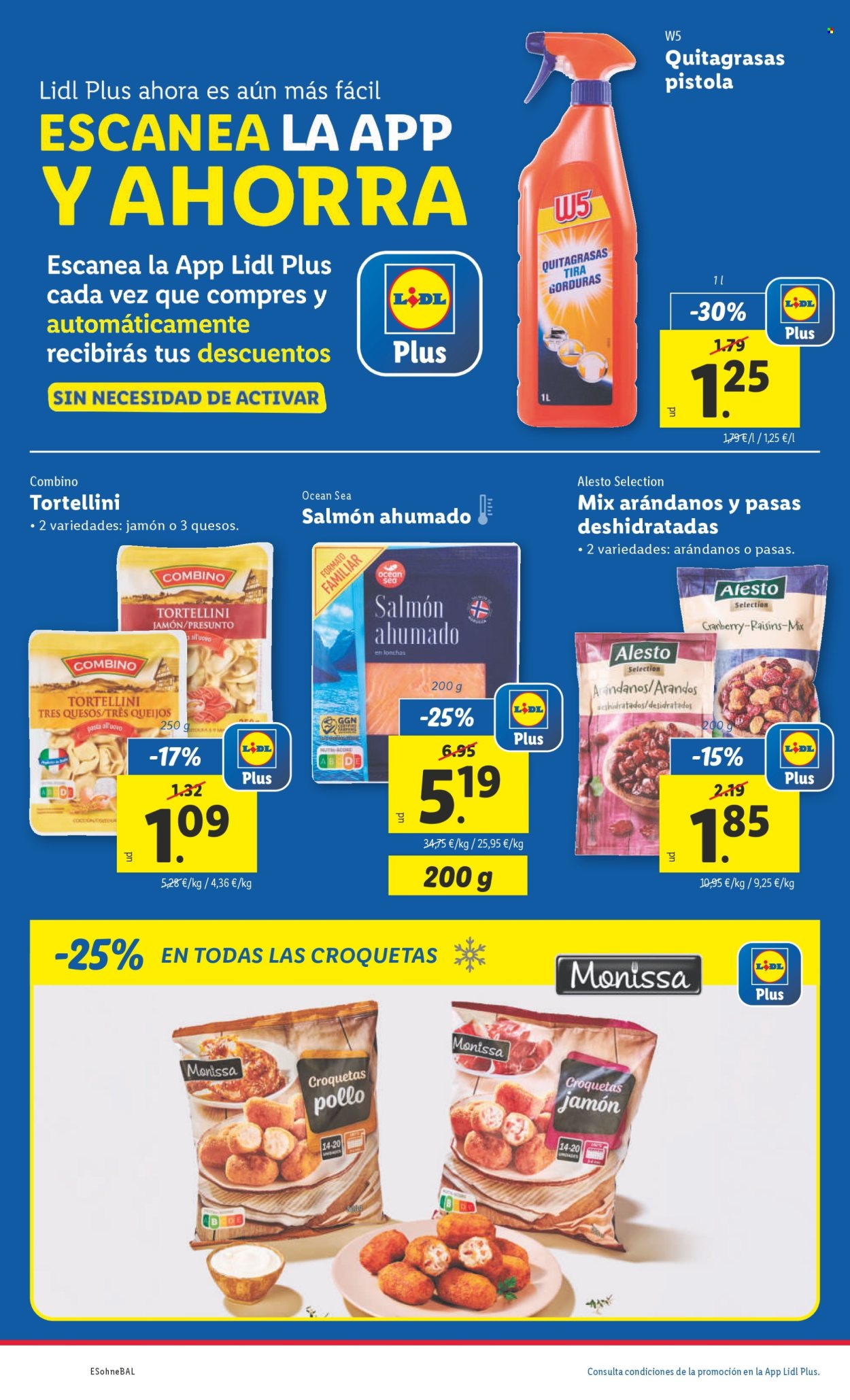 Folleto Lidl - 31/03/25 - 06/04/25. Página 14