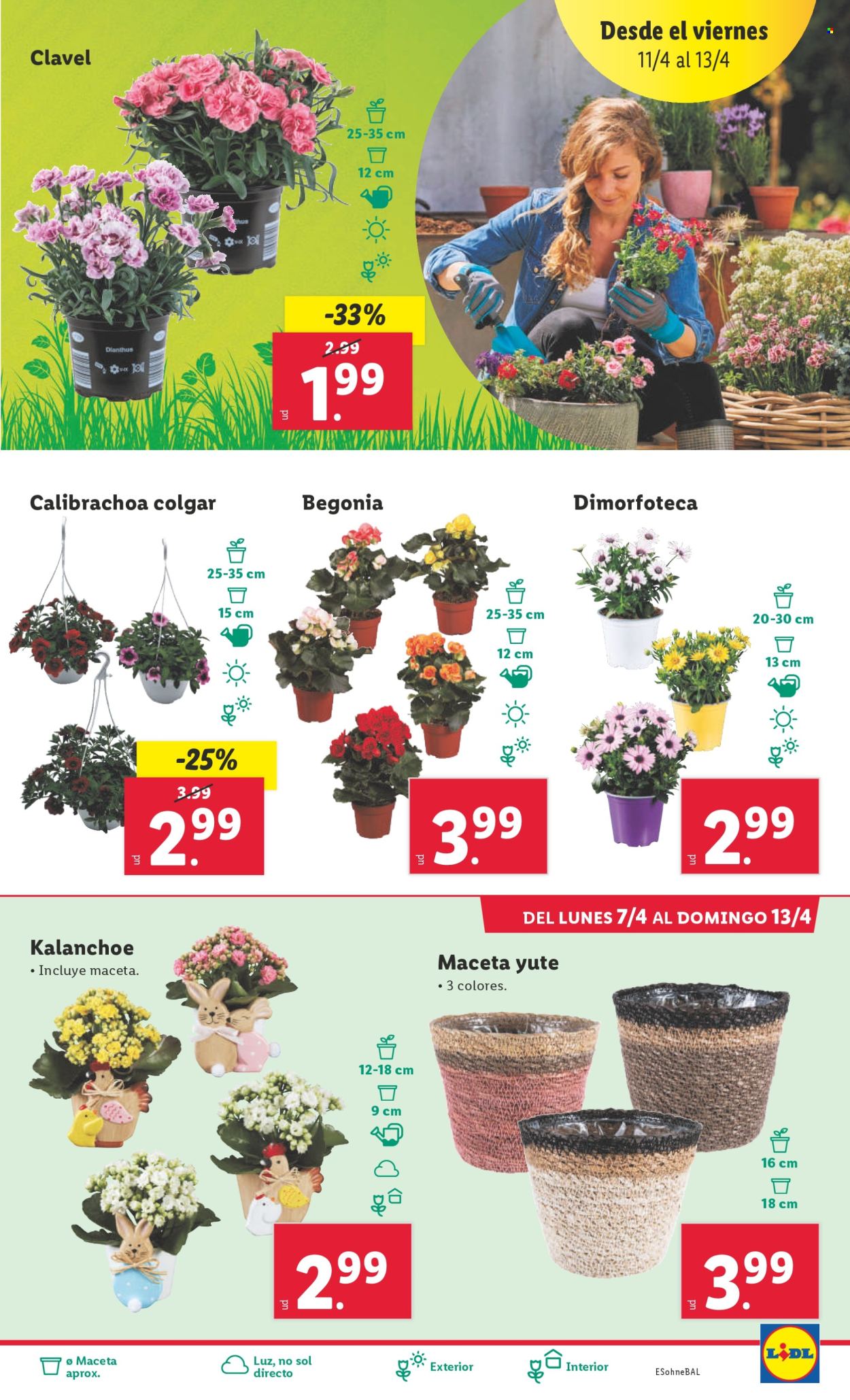 Folleto Lidl - 07/04/25 - 13/04/25. Página 15