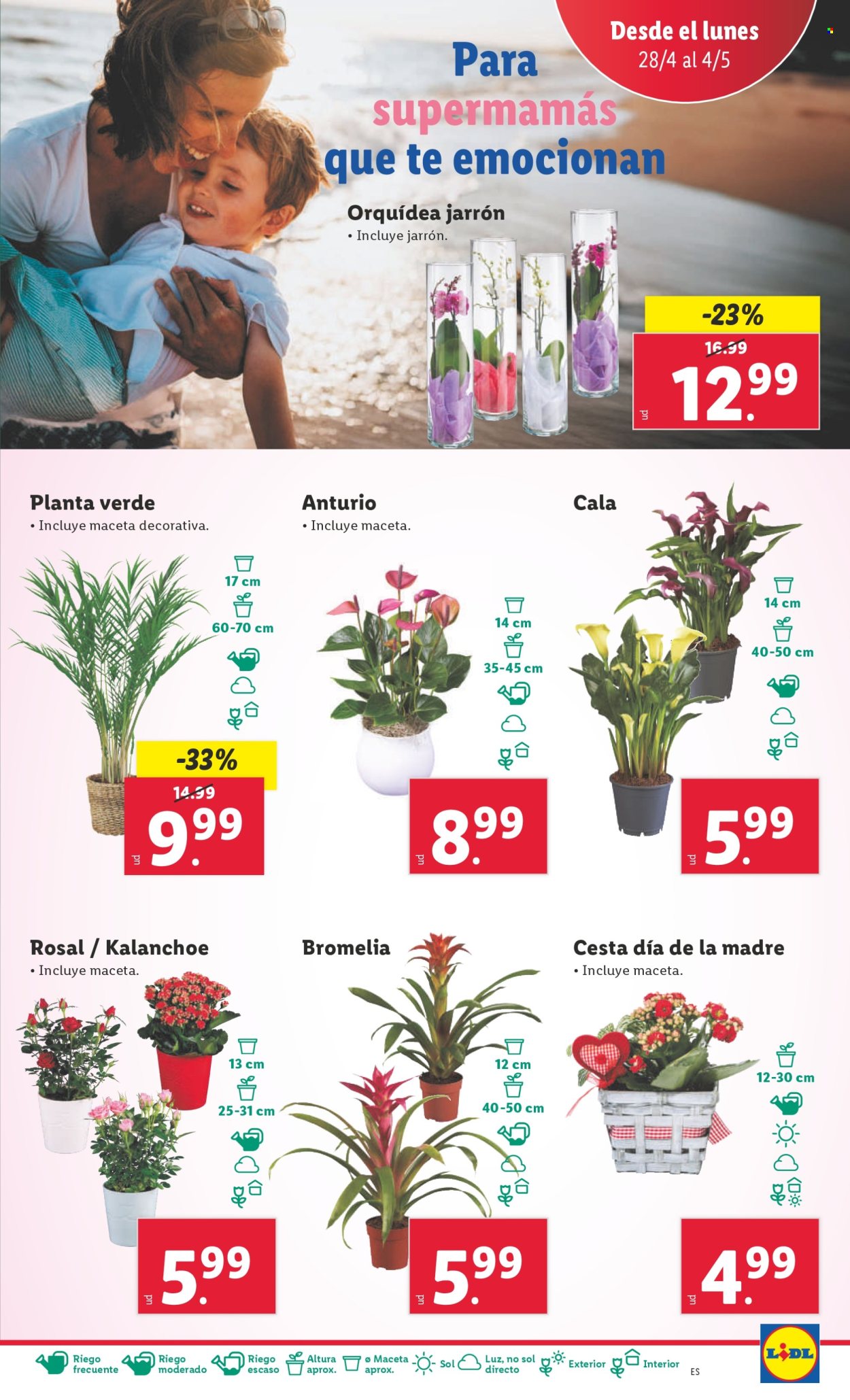 Folleto Lidl - 28/04/25 - 04/05/25. Página 11