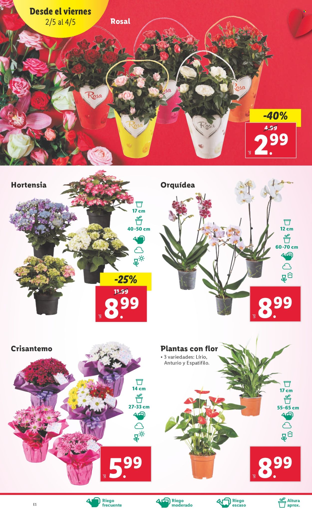 Folleto Lidl - 28/04/25 - 04/05/25. Página 12