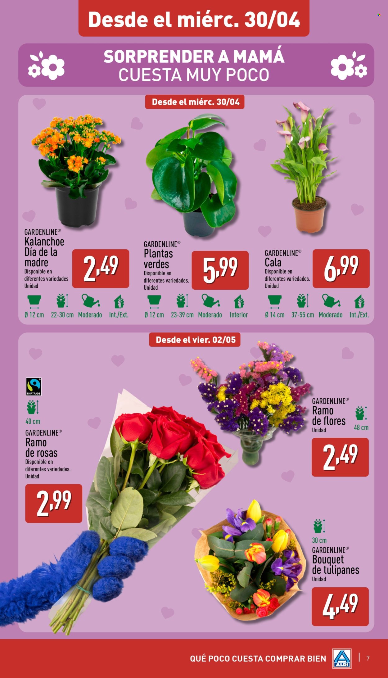 Folleto Aldi - 28/04/25 - 04/05/25. Página 7