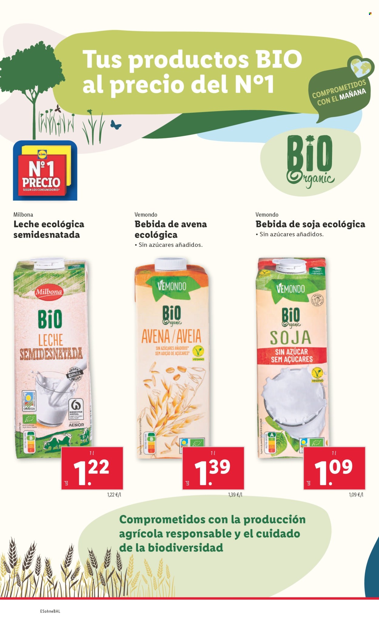 Folleto Lidl - 05/05/25 - 11/05/25. Página 12